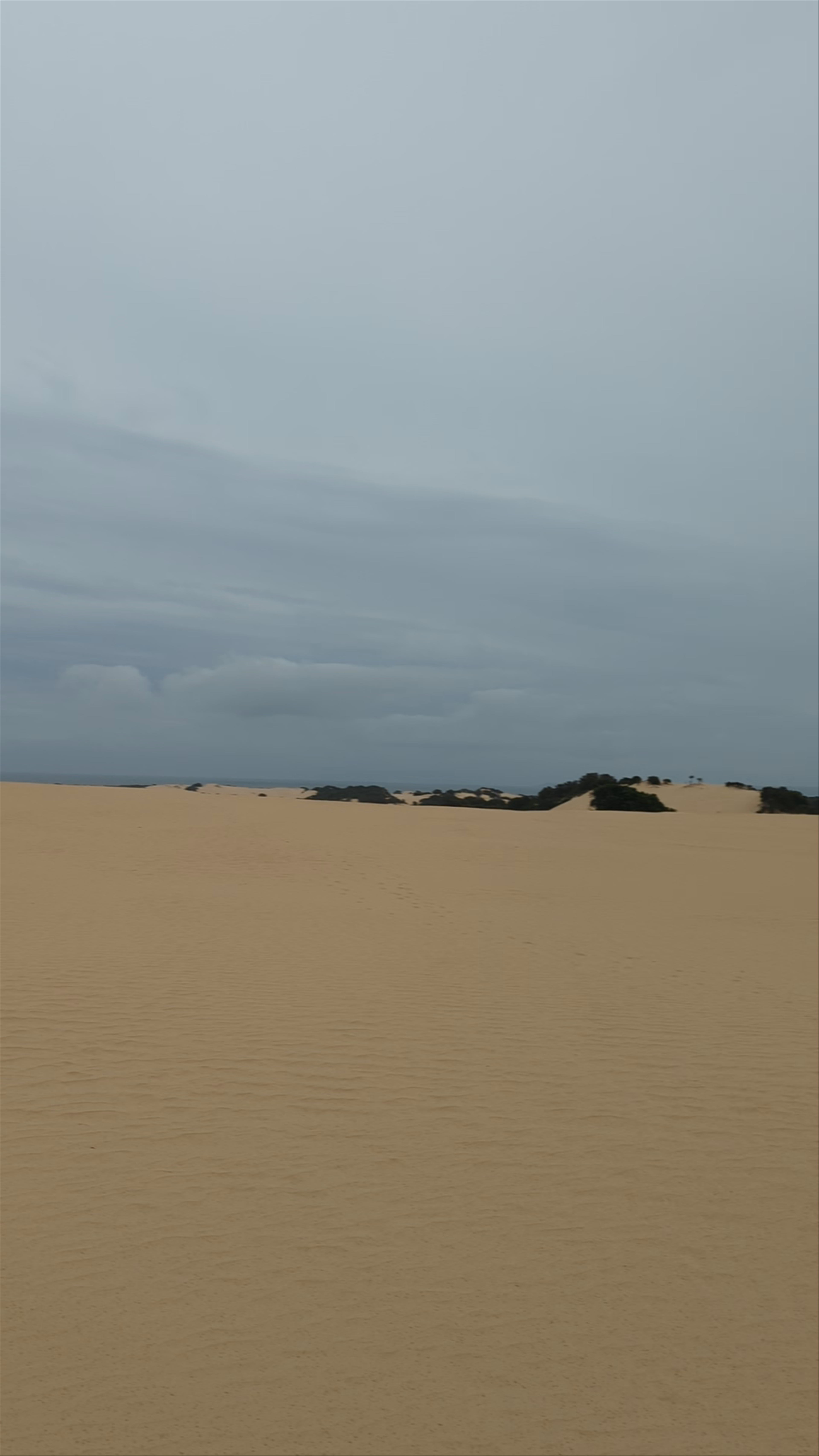 Dunes of the Big Drift