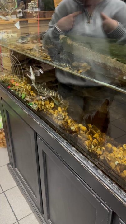 Florida Citrus Center Inc # 90 - Candy Stores Near Me - Ocala, Florida