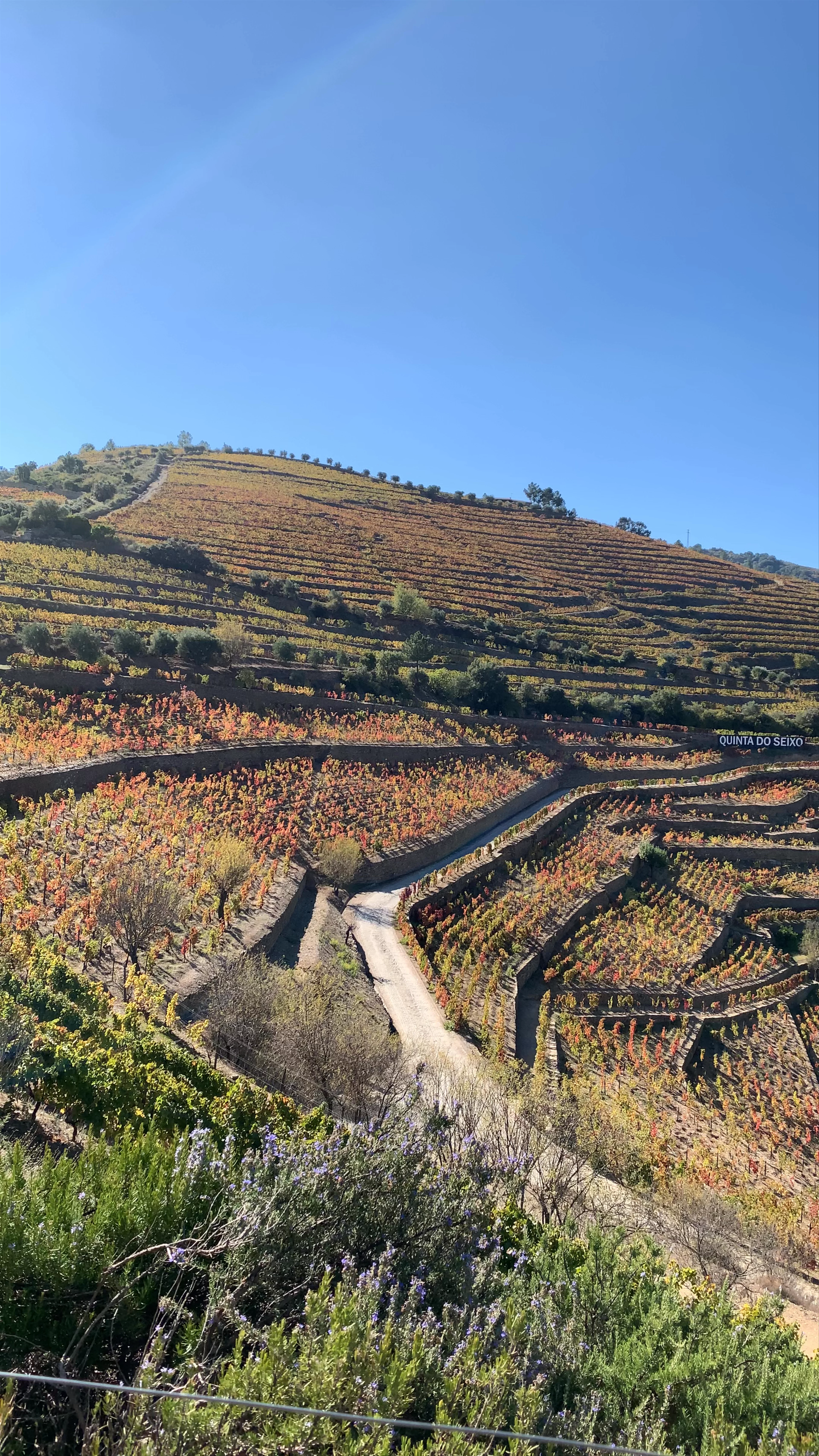 Quinta do Seixo