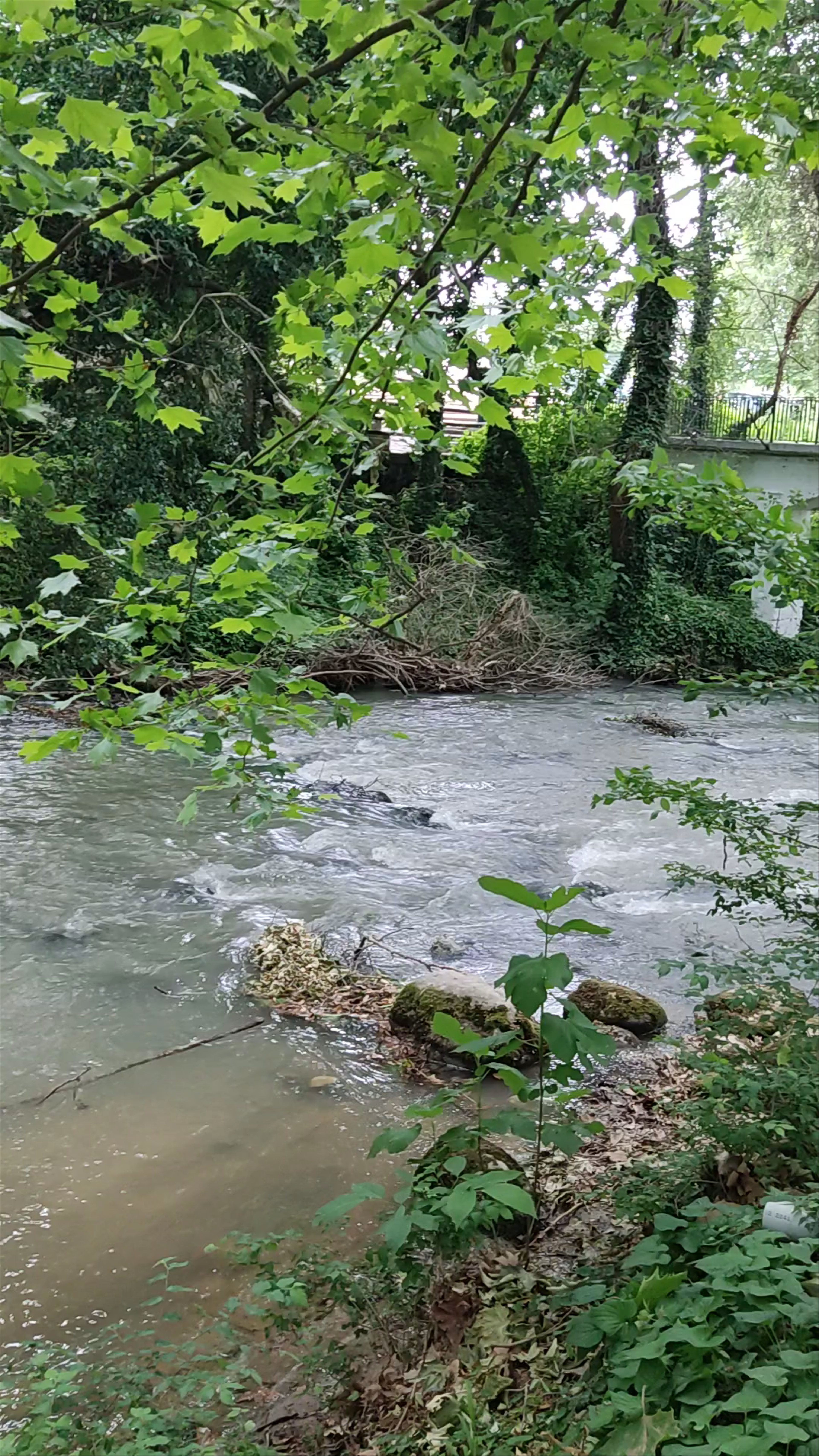 Αγία Βαρβάρα