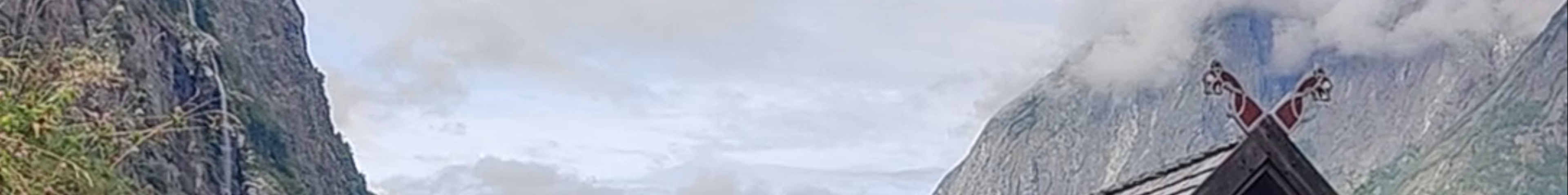 Tours & experiences in Vik