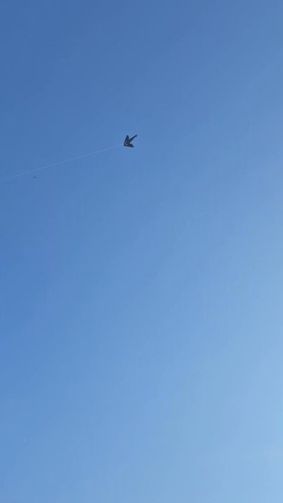 Ginger Rogers Beach - Stingray kite - Beaches Near Me - Santa Monica, California