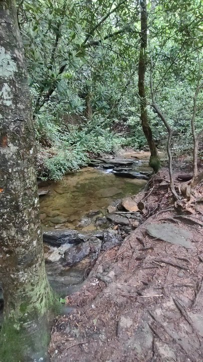 Wildcat Branch Falls - Hiking Near Me - Cleveland, South Carolina