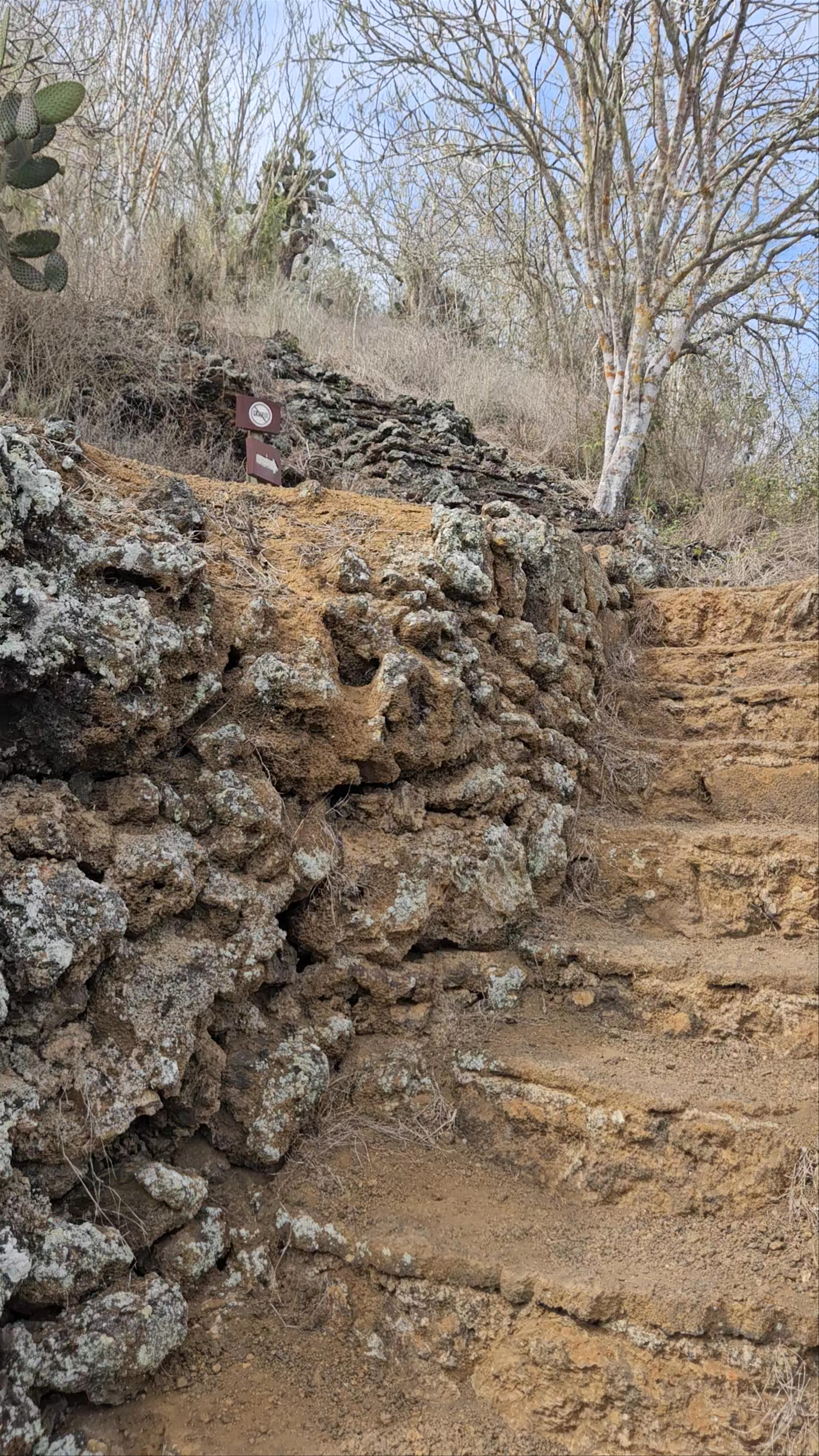 Muro de las Lágrimas