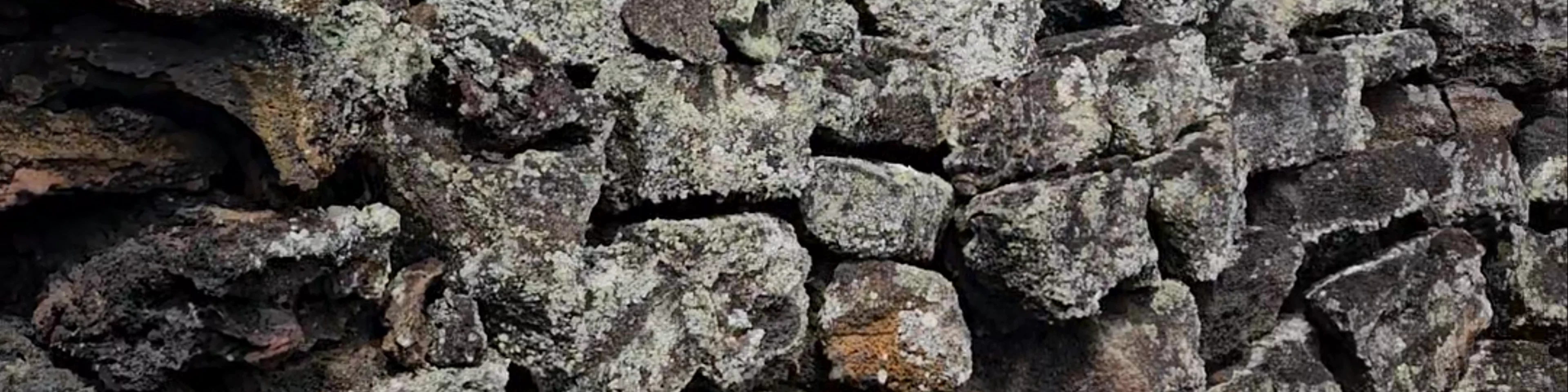 Muro de las Lágrimas