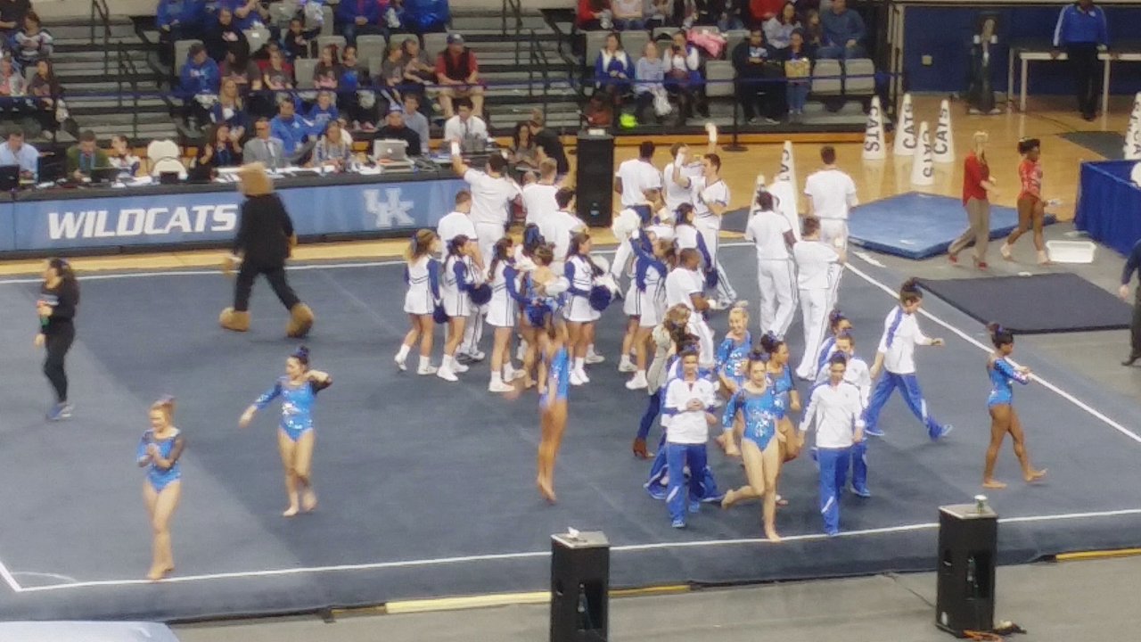 Memorial Coliseum - Fight song - Wildcats Gymnastics - Stadiums & Arenas Near Me - Lexington, Kentucky
