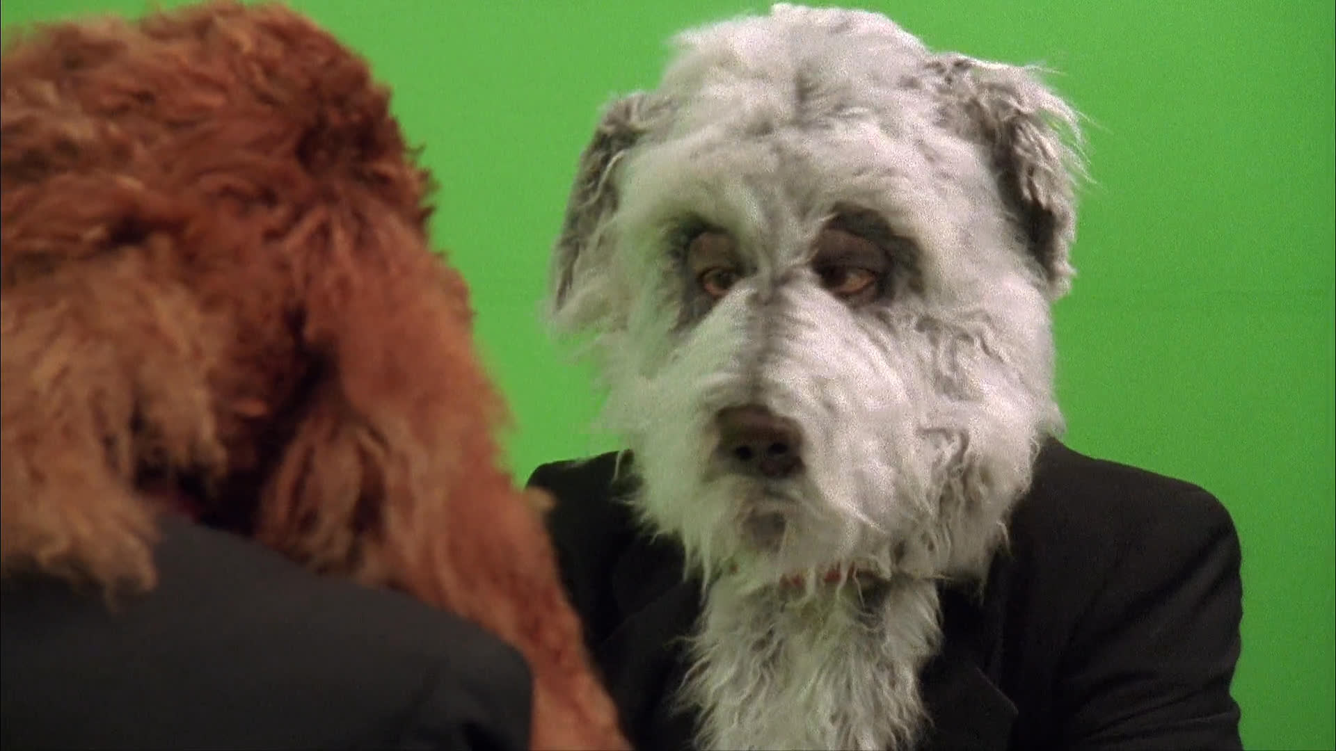 A production crew films a commercial featuring individuals in detailed dog costumes dining at a table, intercut with product shots of Doggie Gobbles brand dog food.