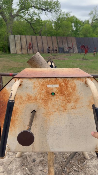 Sweet Eats Adventure Farm - Apple Cannon - Attraction Farms Near Me - Georgetown, Texas