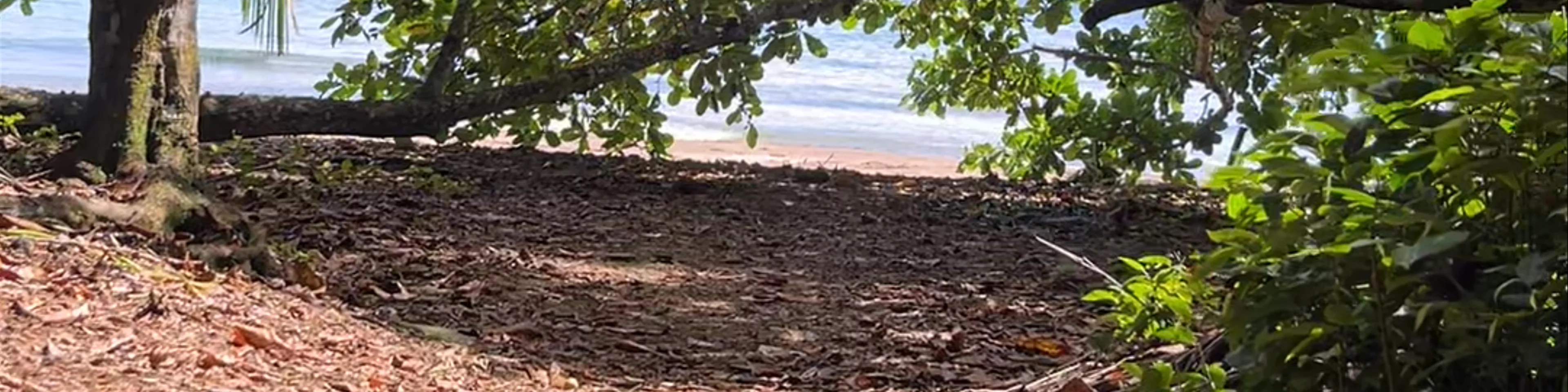 Playa escondida