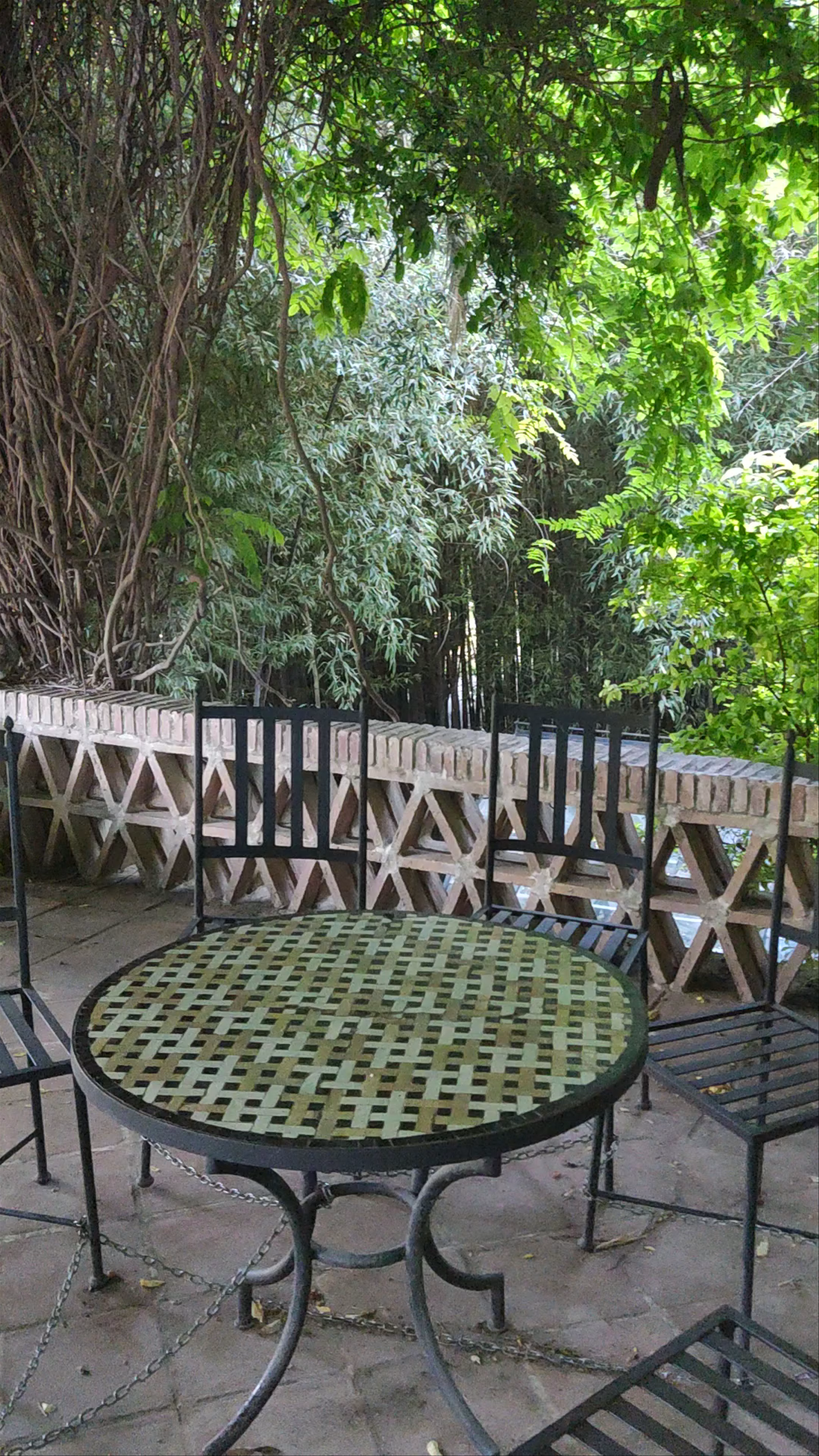 Jardín Botánico - Histórico La Concepción: A Peaceful Botanical Escape in Málaga