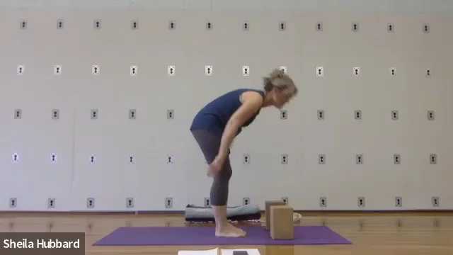Let's Move the Body