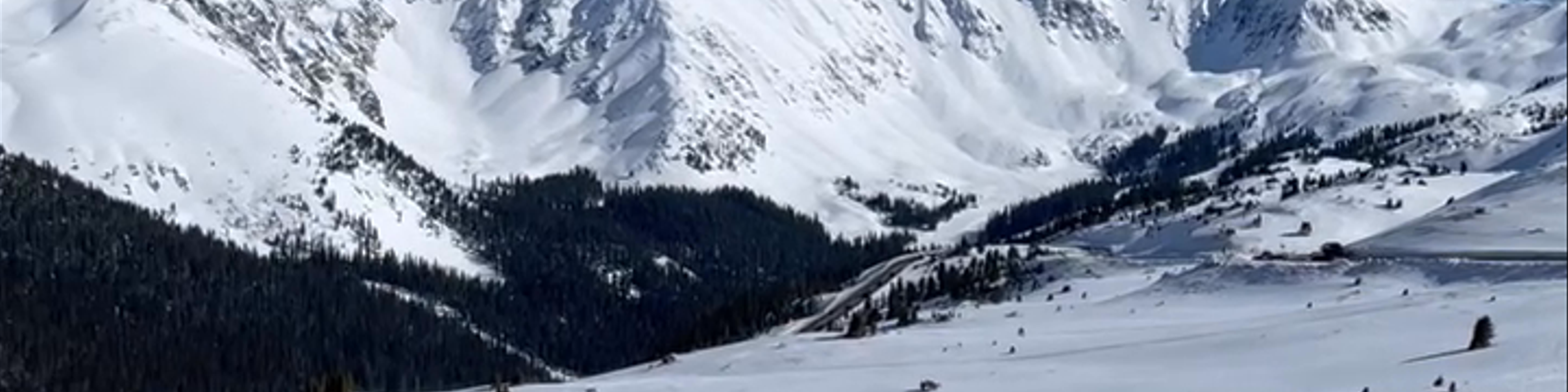 Silverthorne