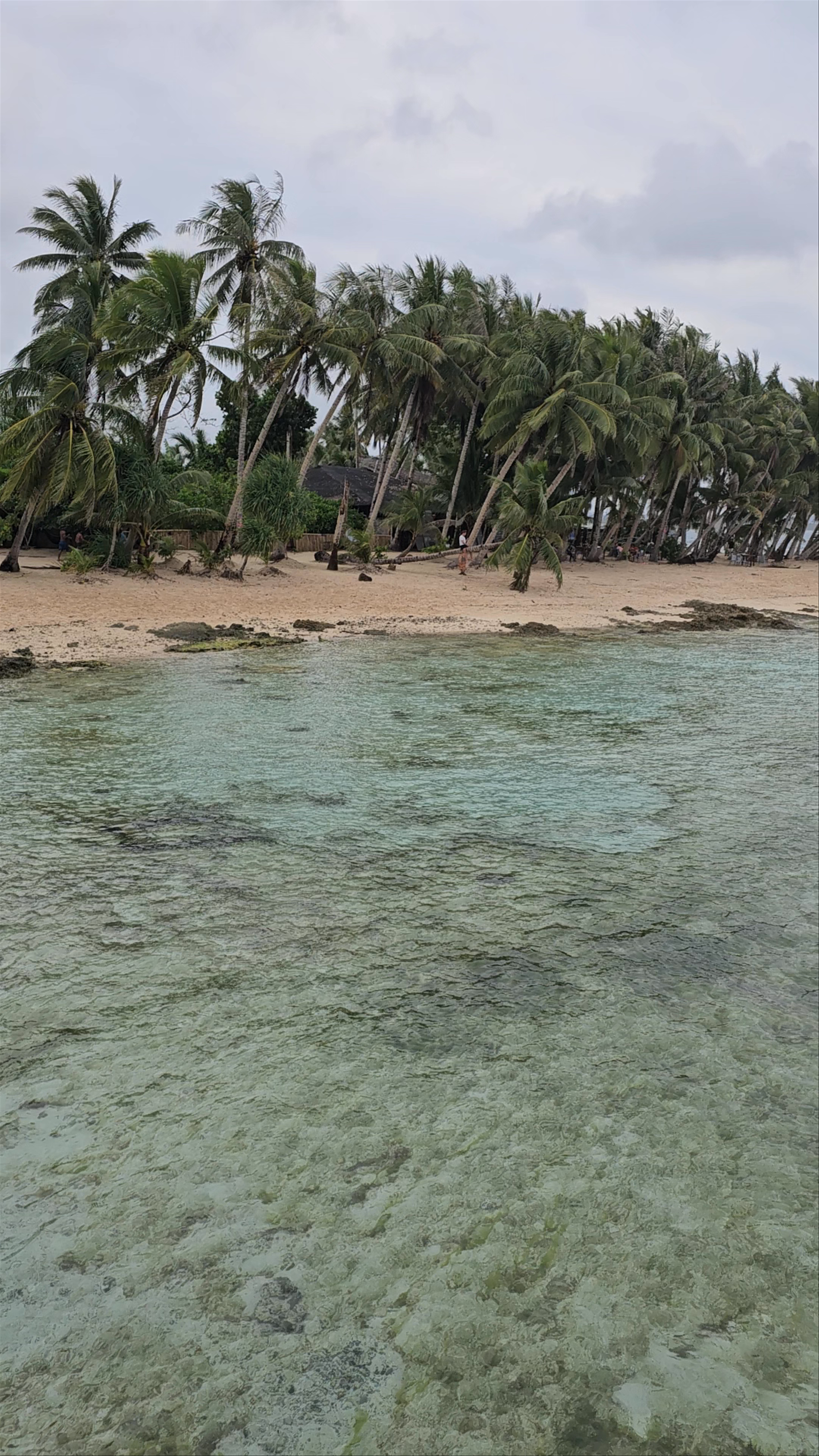Cloud 9 Surfing Area: Surf, Sea, and Serenity in Siargao
