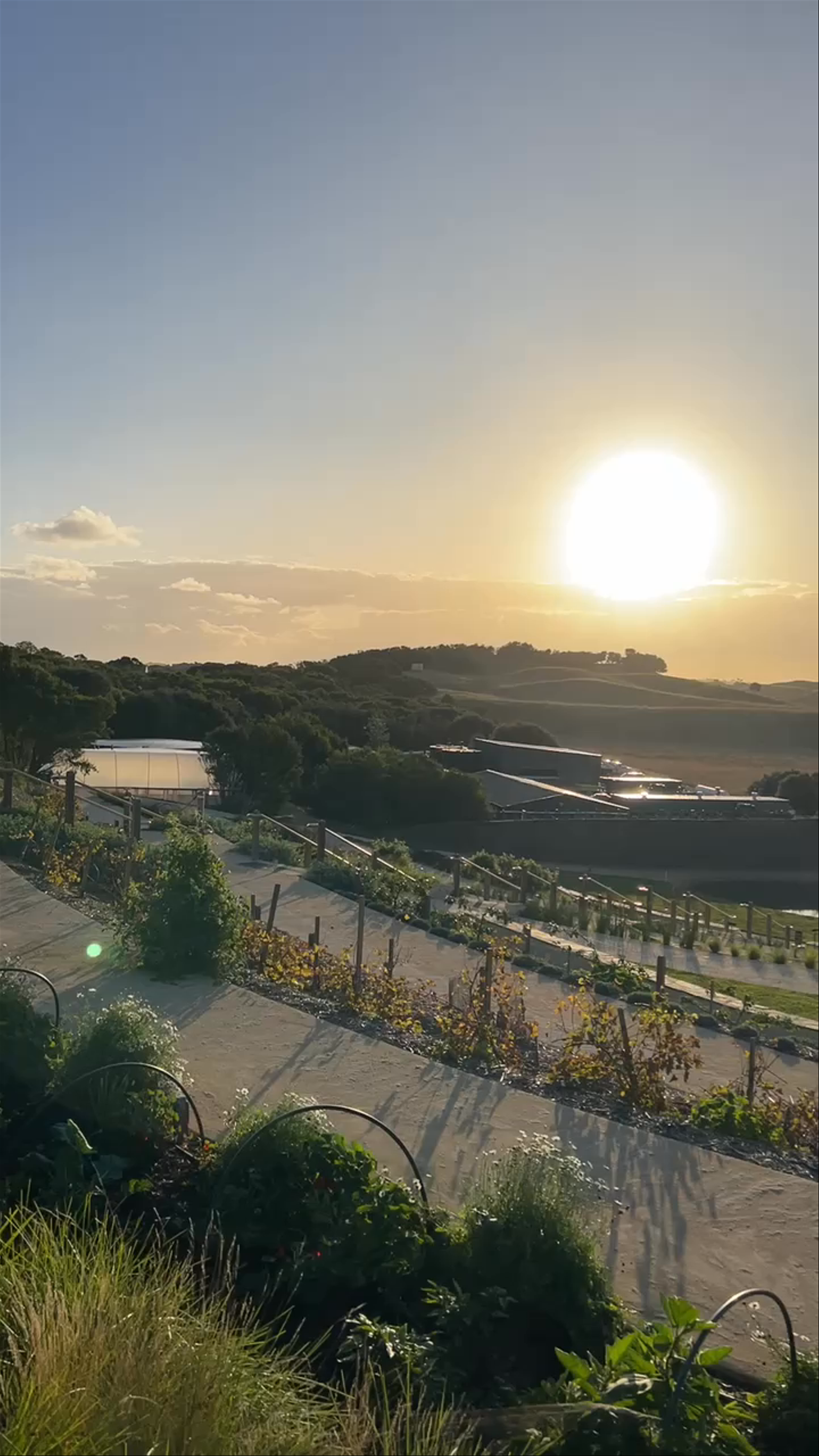 Peninsula Hot Springs