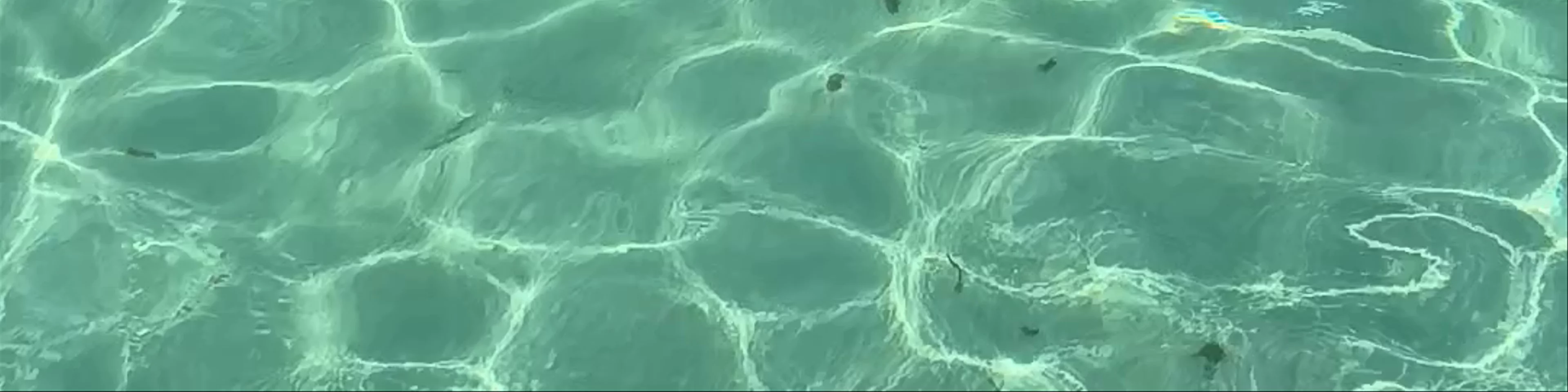 Playa "El Cielo"