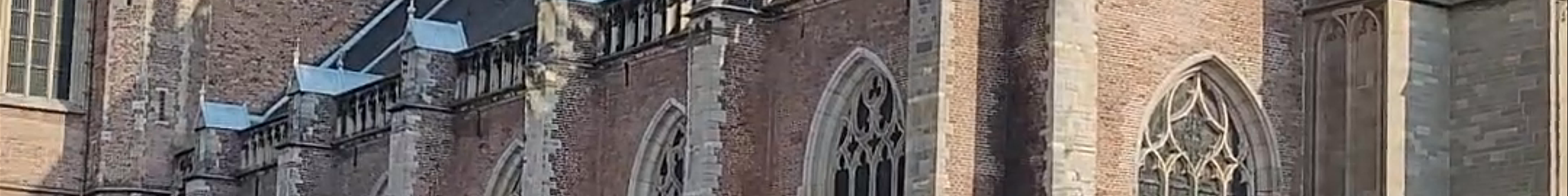 Tours & experiences in Haarlem