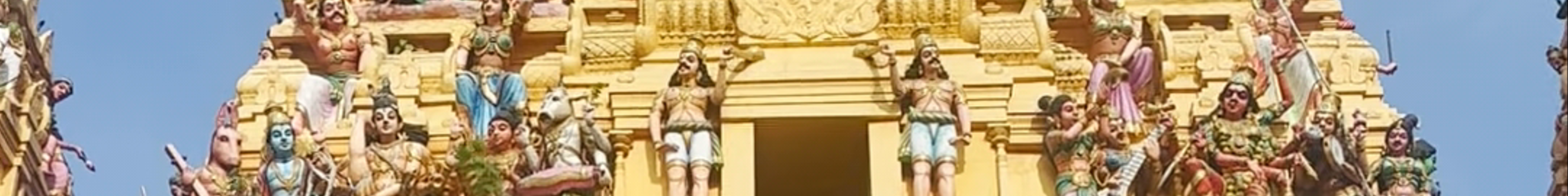 Tours & experiences in Colombo