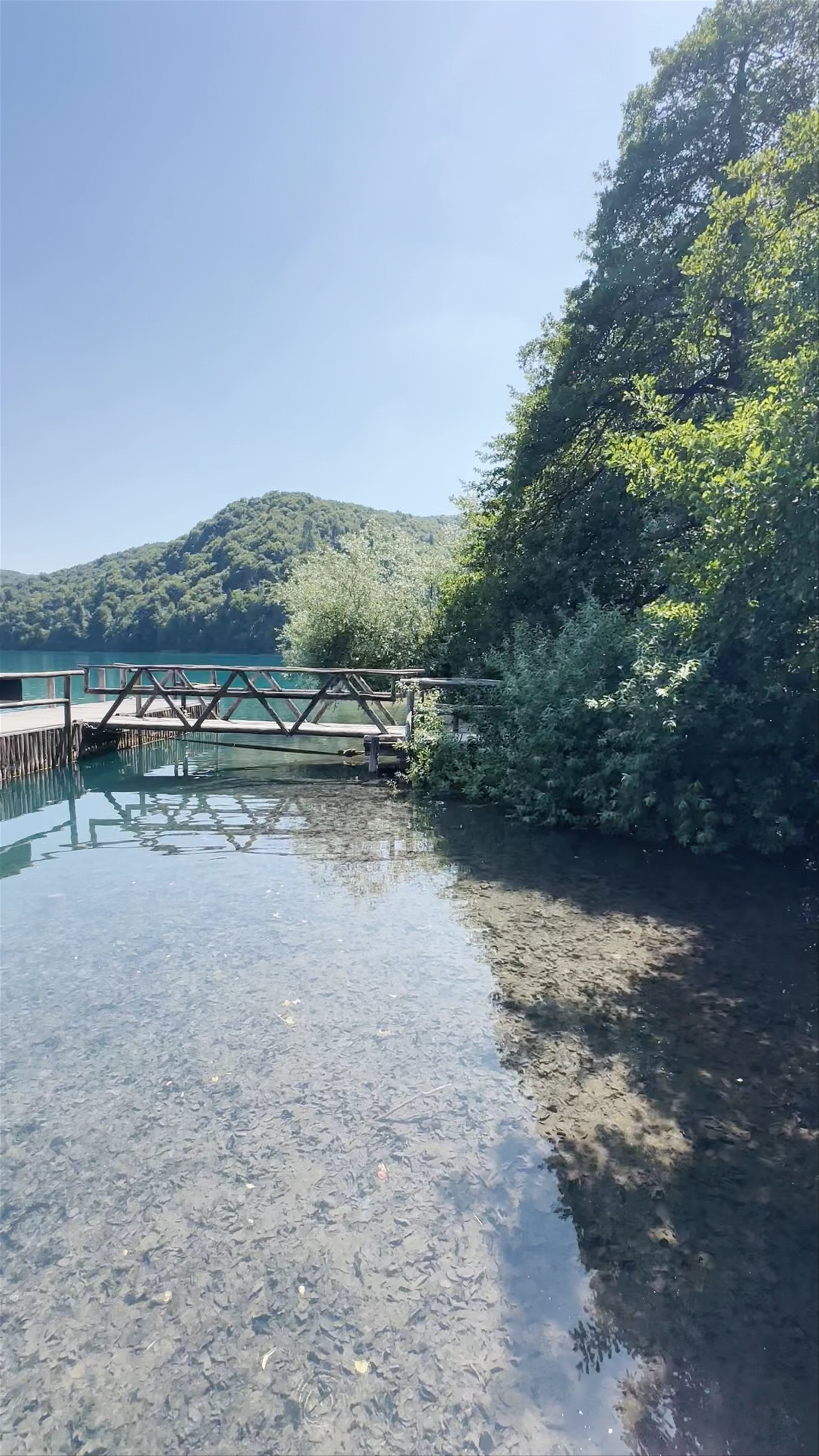 Kozjak