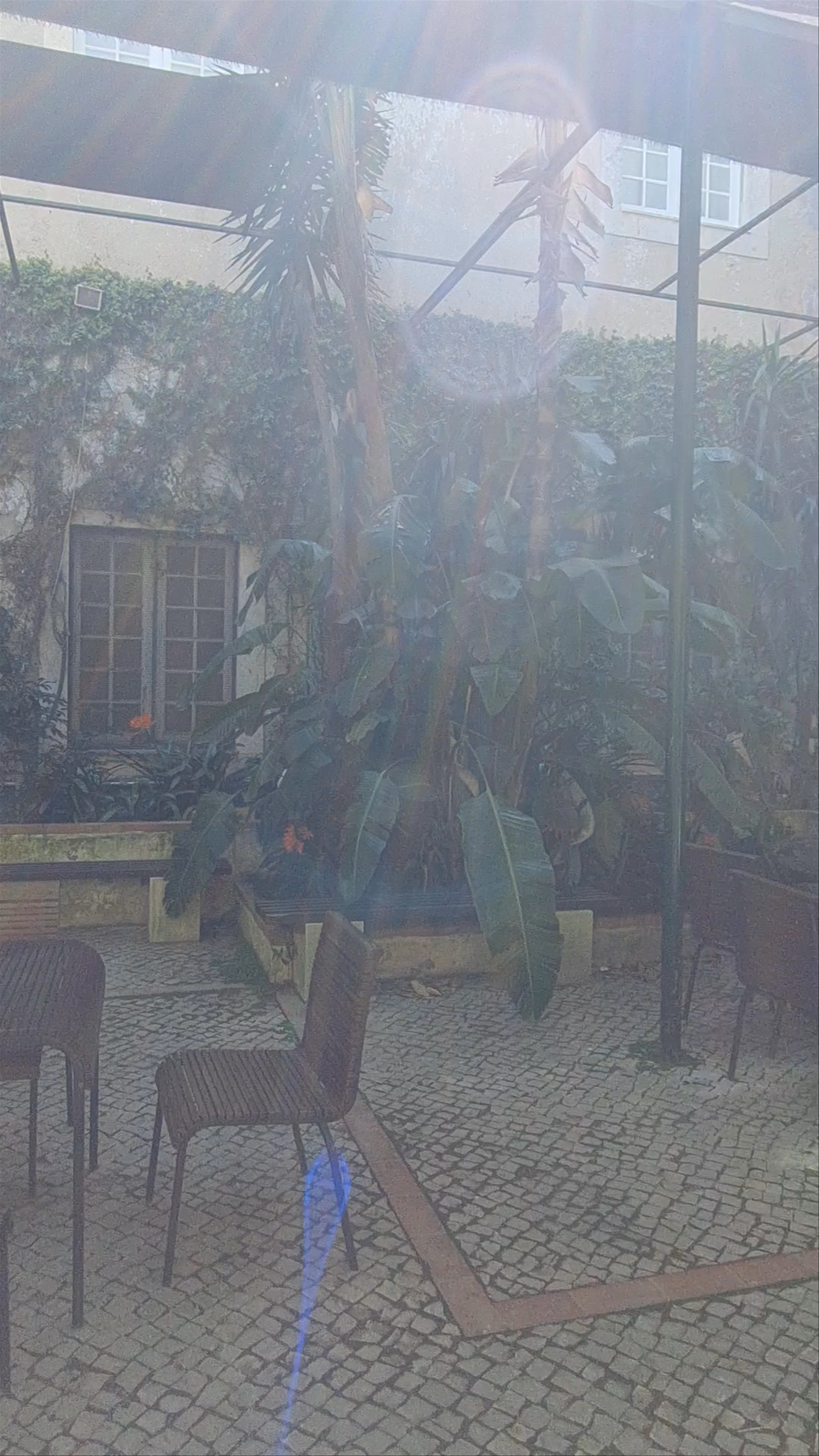 Museu Nacional do Azulejo: A Serene Courtyard Escape in Lisbon