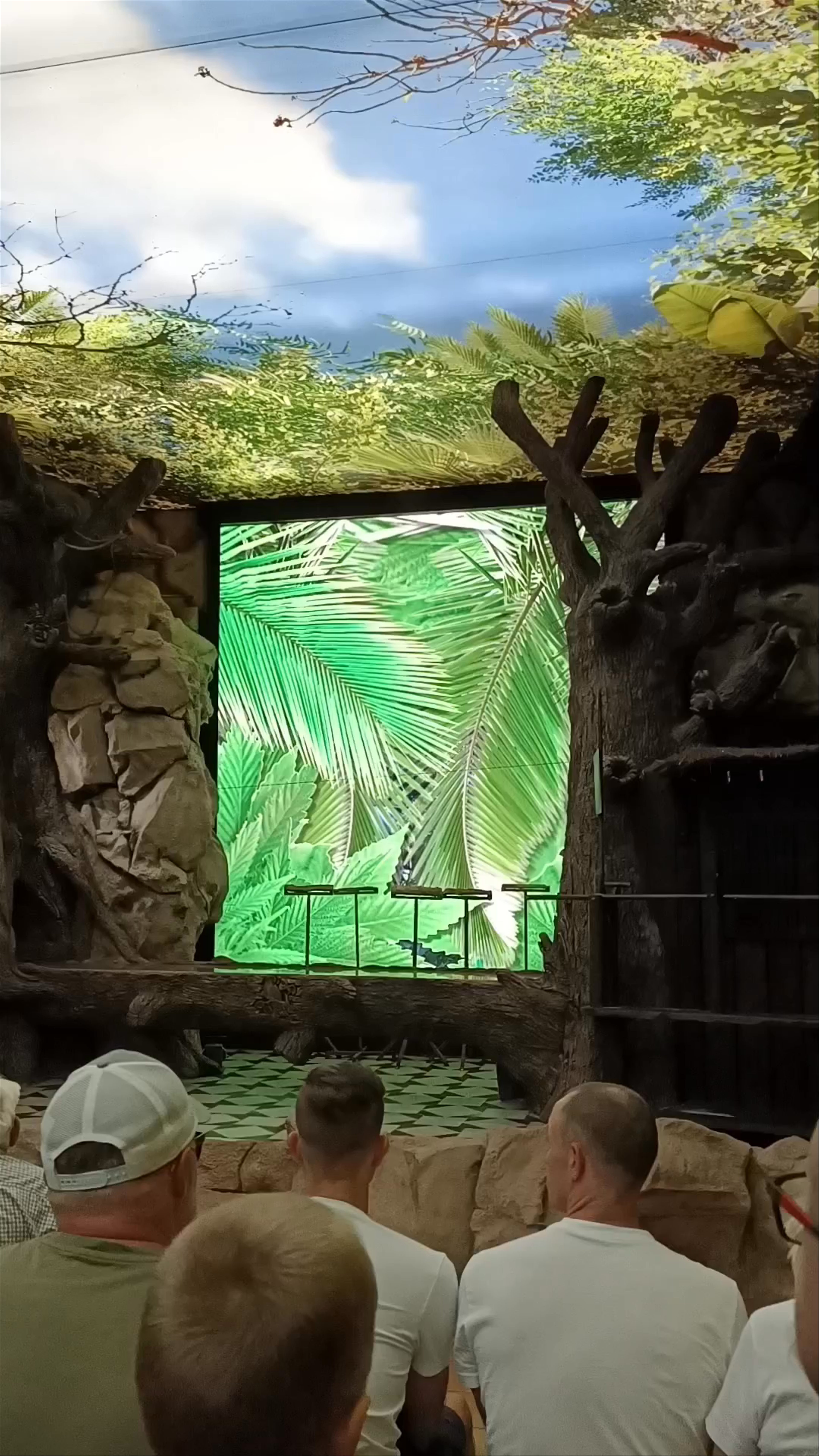 Loro Show in Puerto de la Cruz: Immersive Wildlife and Nature Spectacle