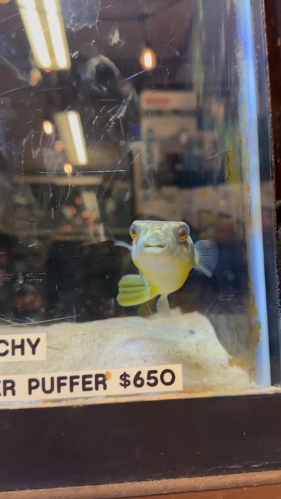 360 Aquatic - Local Fish Stores Near Me - Houston, Texas
