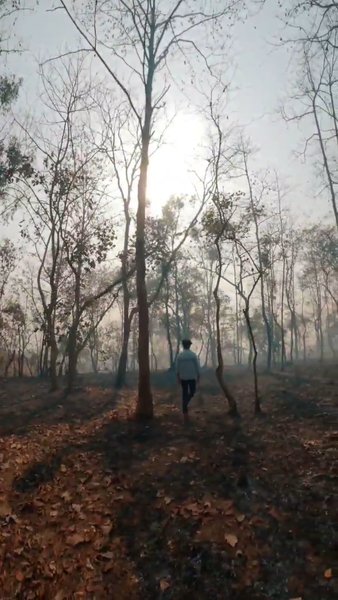 Photo of Barvi Forest. #Tripo