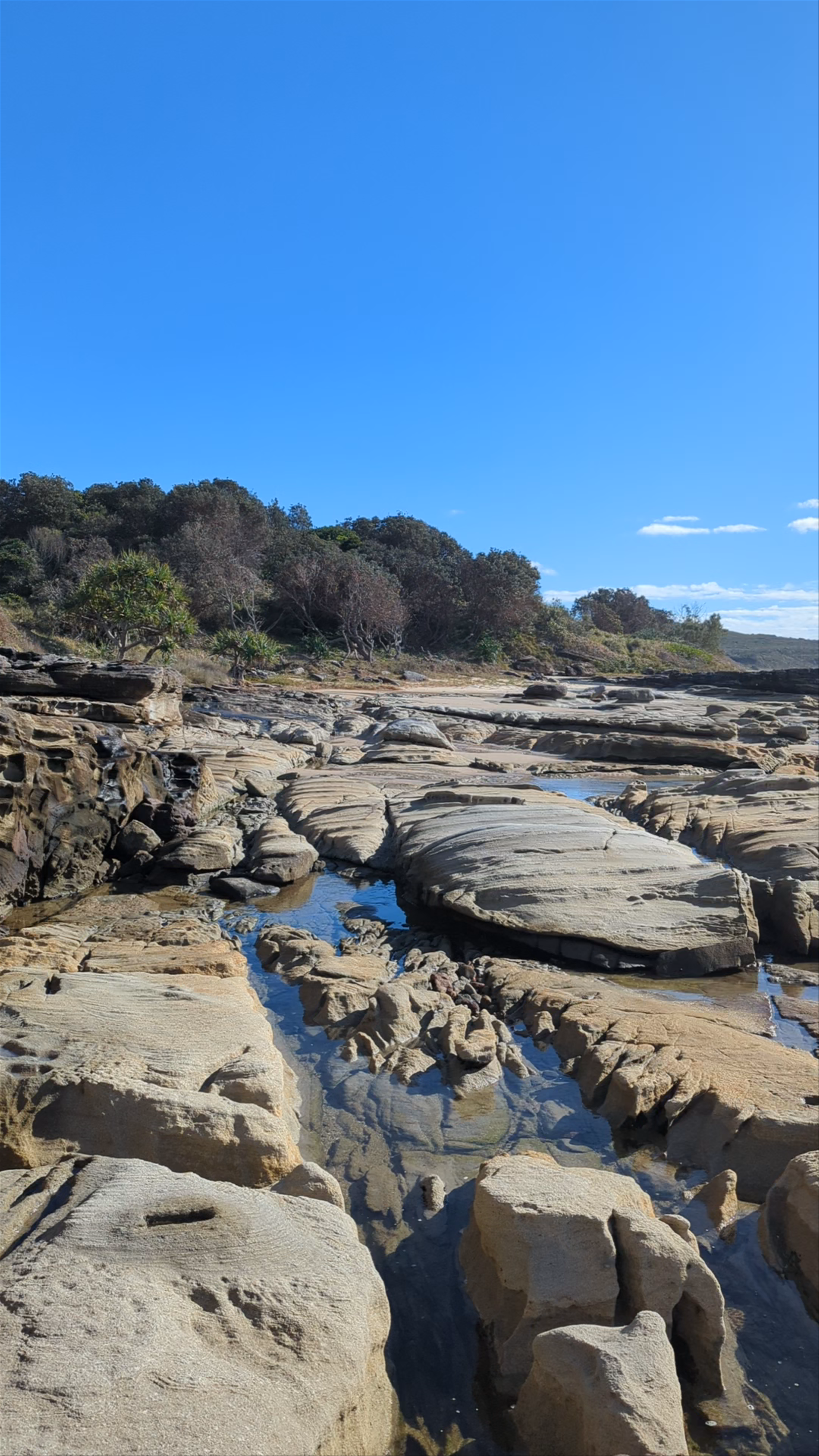 Shelly Beach Headland