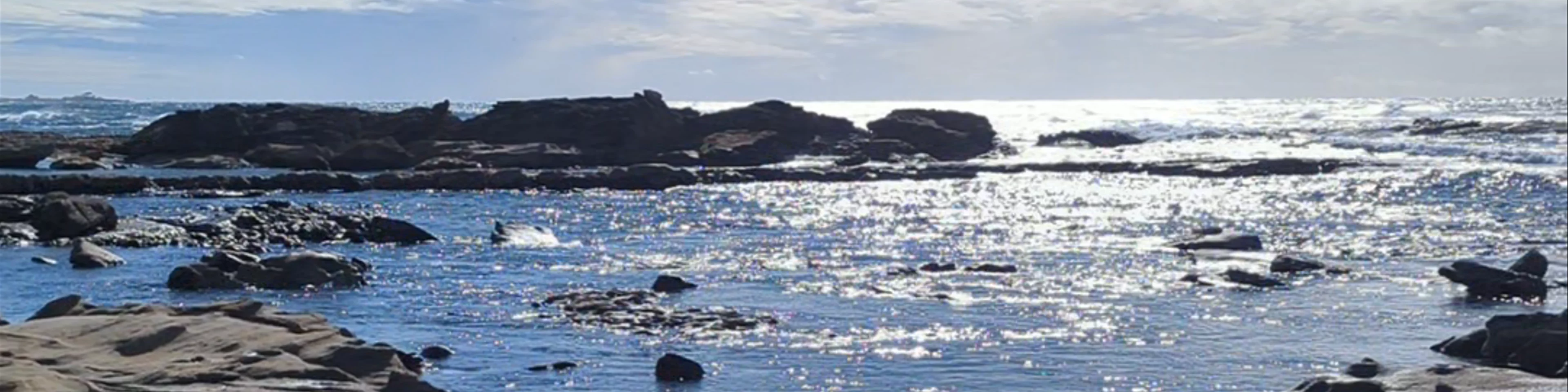 Shelly Beach Headland