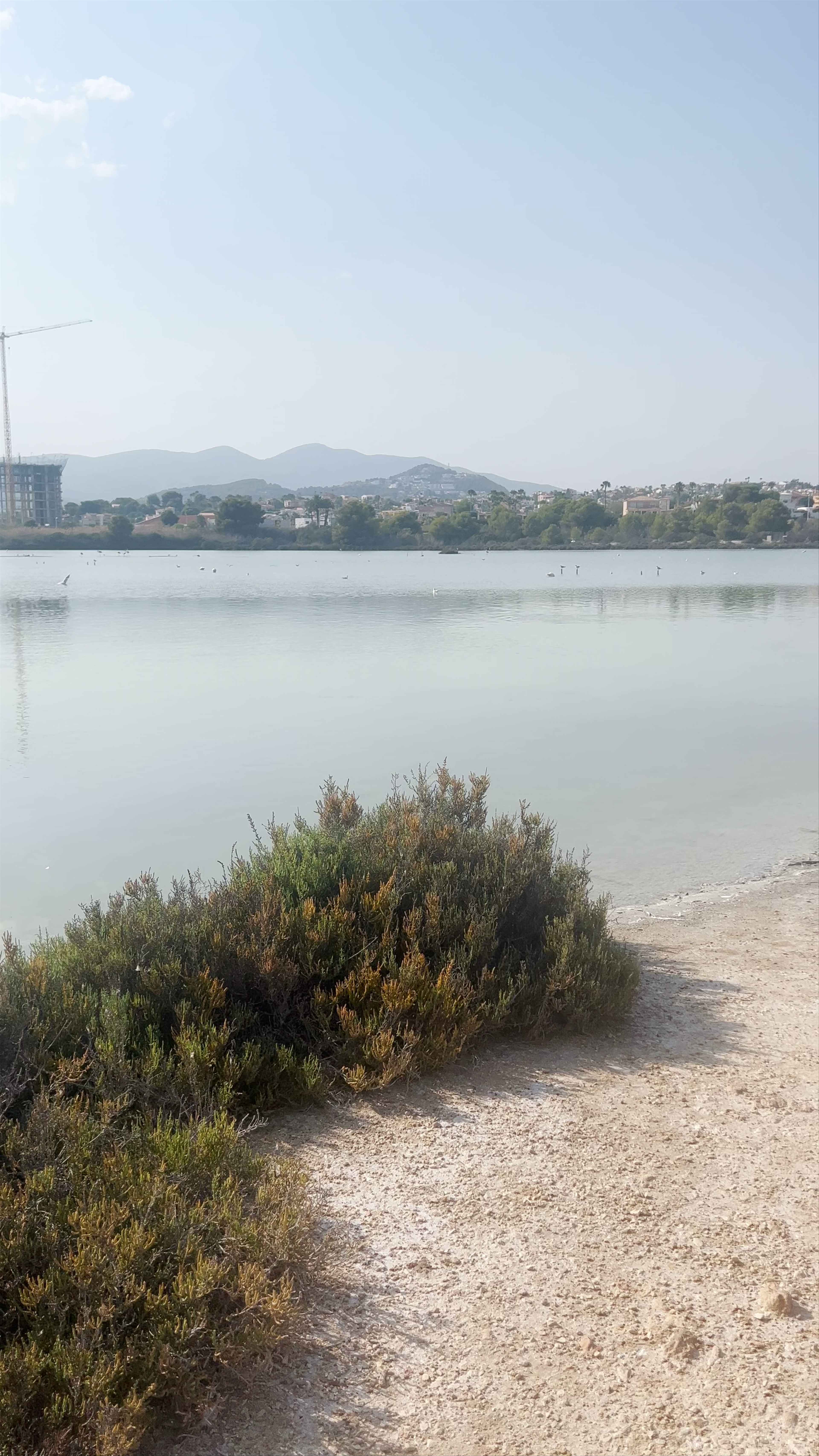 Salinas de Calp: Serene Coastal Salt Flats in Comunidad Valenciana