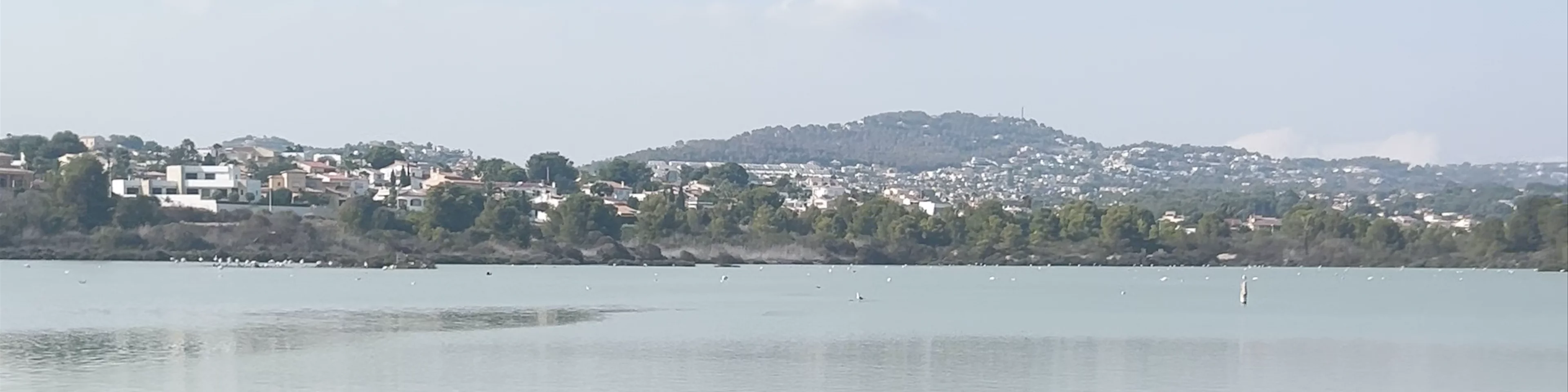 Salinas de Calp
