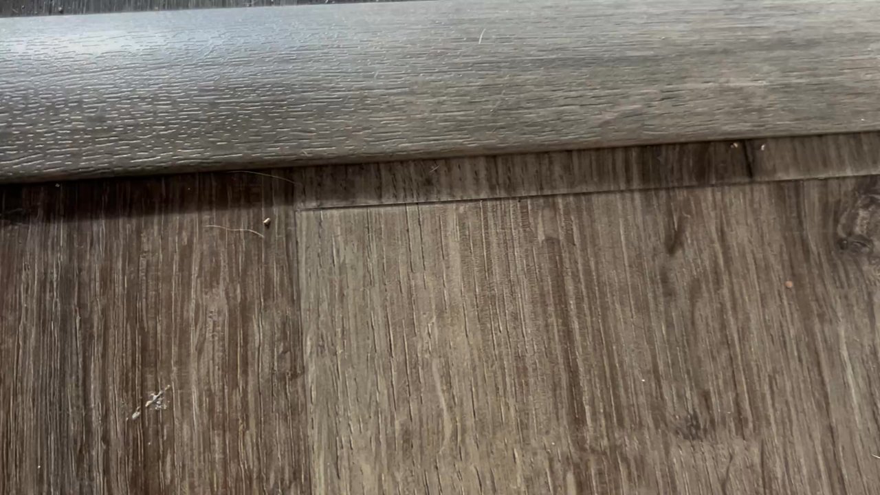 Empire Today - The plank moving with just a toe push. - Carpet Installation Near Me
