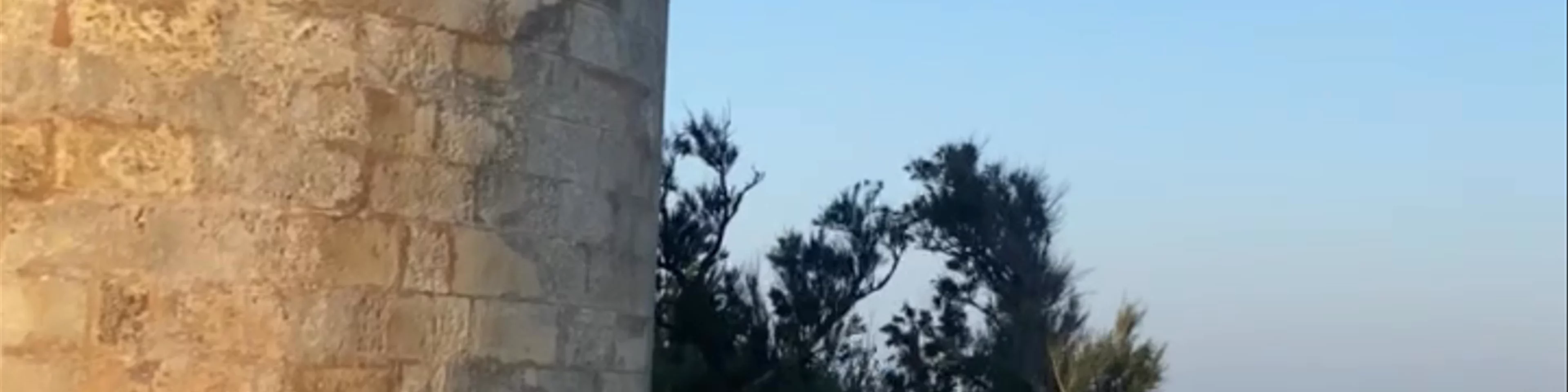 Phare des Baleines