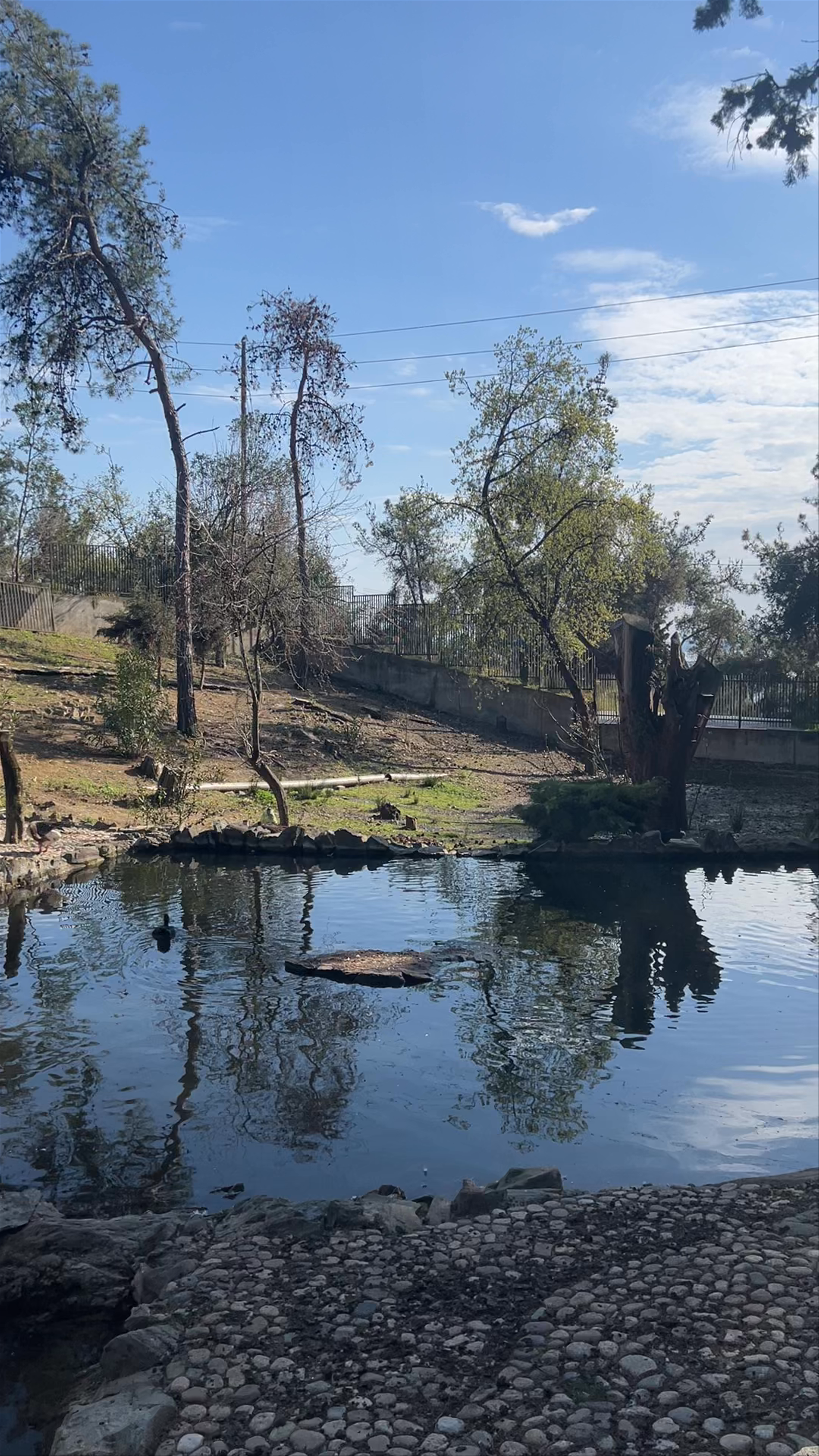 Thessaloniki Zoo: A Peaceful Nature Escape in Northern Greece