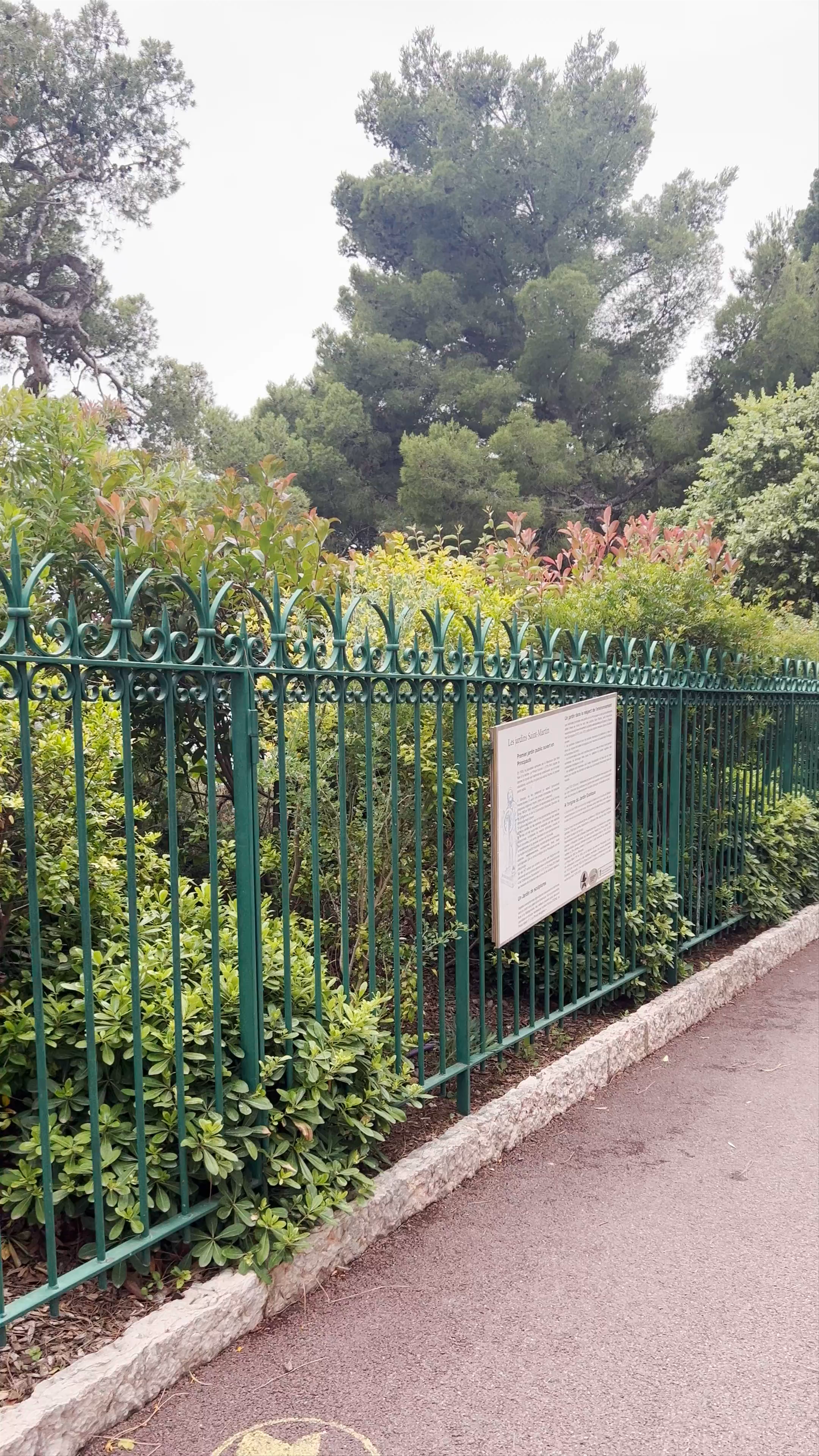 Strolling Through Tranquil Saint-Martin Gardens in Monaco