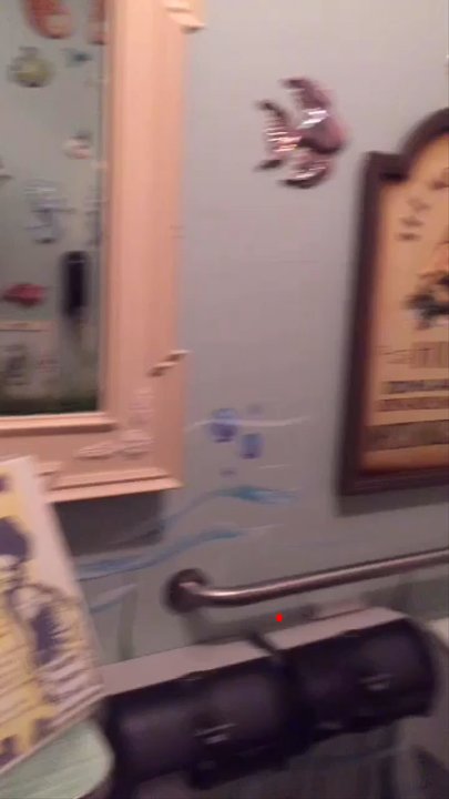 Rutabegorz - Don't splash in the toilet water no matter how much of a Mermaid this restroom makes you feel lol - Wraps Near Me - Orange, California
