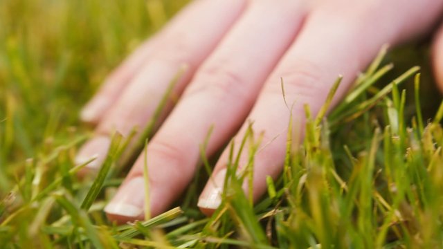 How to Apply Humic Acid to Lawn: 3 Simple Steps