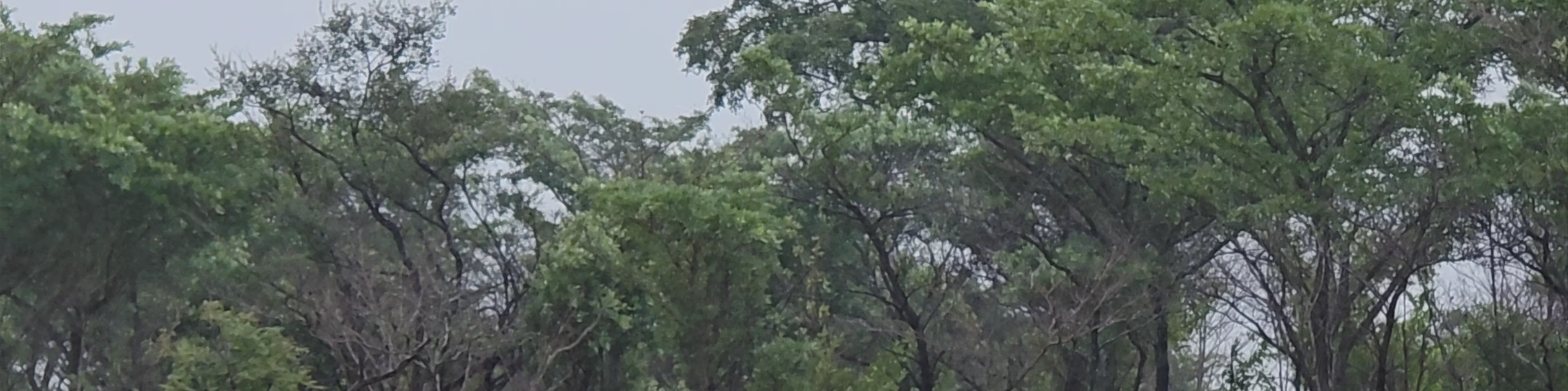 Kruger National Park