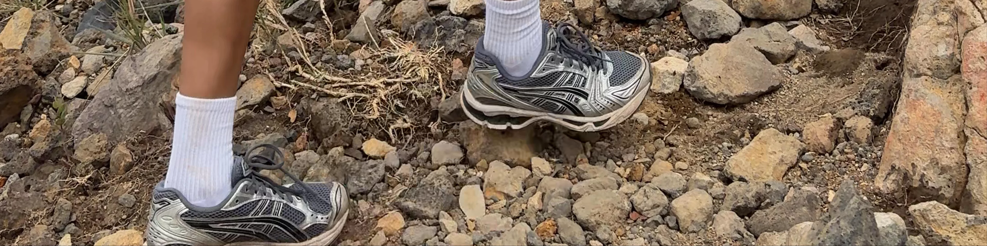 Santa Ana Volcano (tour guide meetup)
