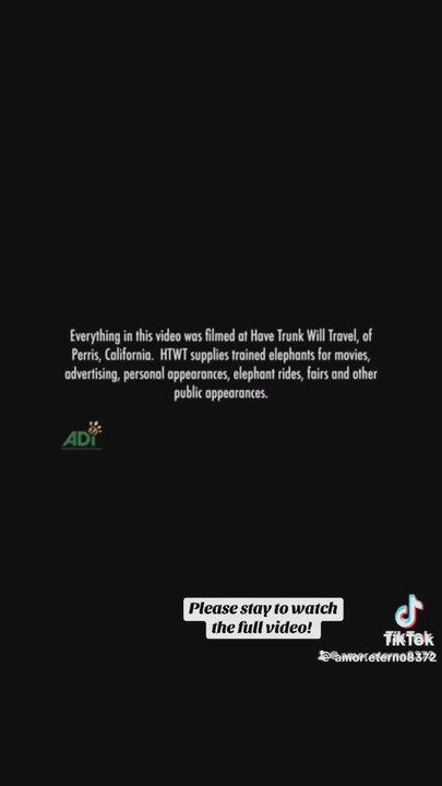 Have Trunk Will Travel - This was filmed in CA - Travel Services Near Me - Perris, California