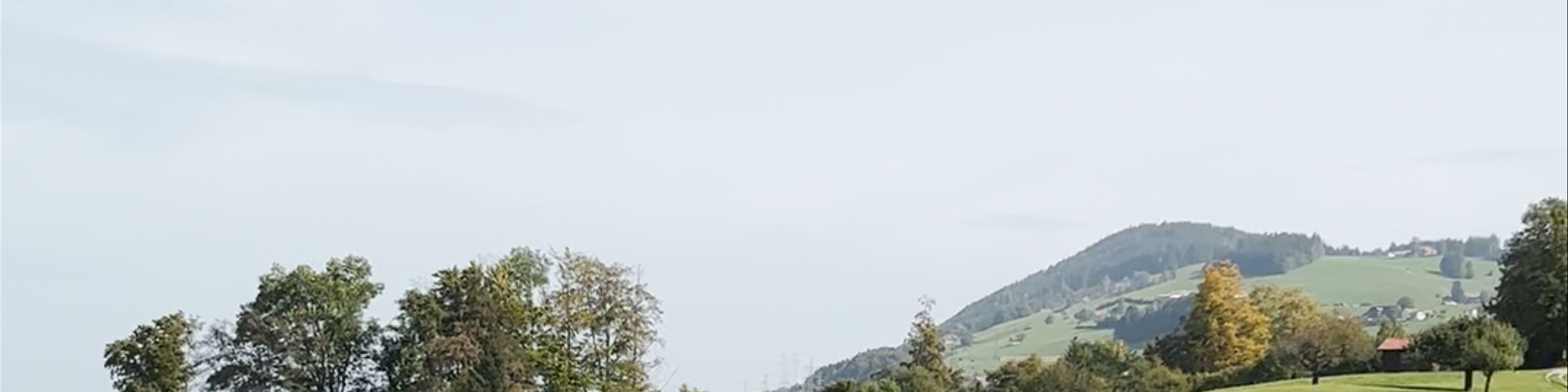 Feusisberg