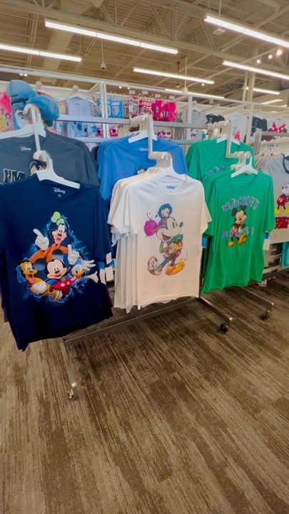Target - Disney Gear - Furniture Stores Near Me - Winter Garden, Florida