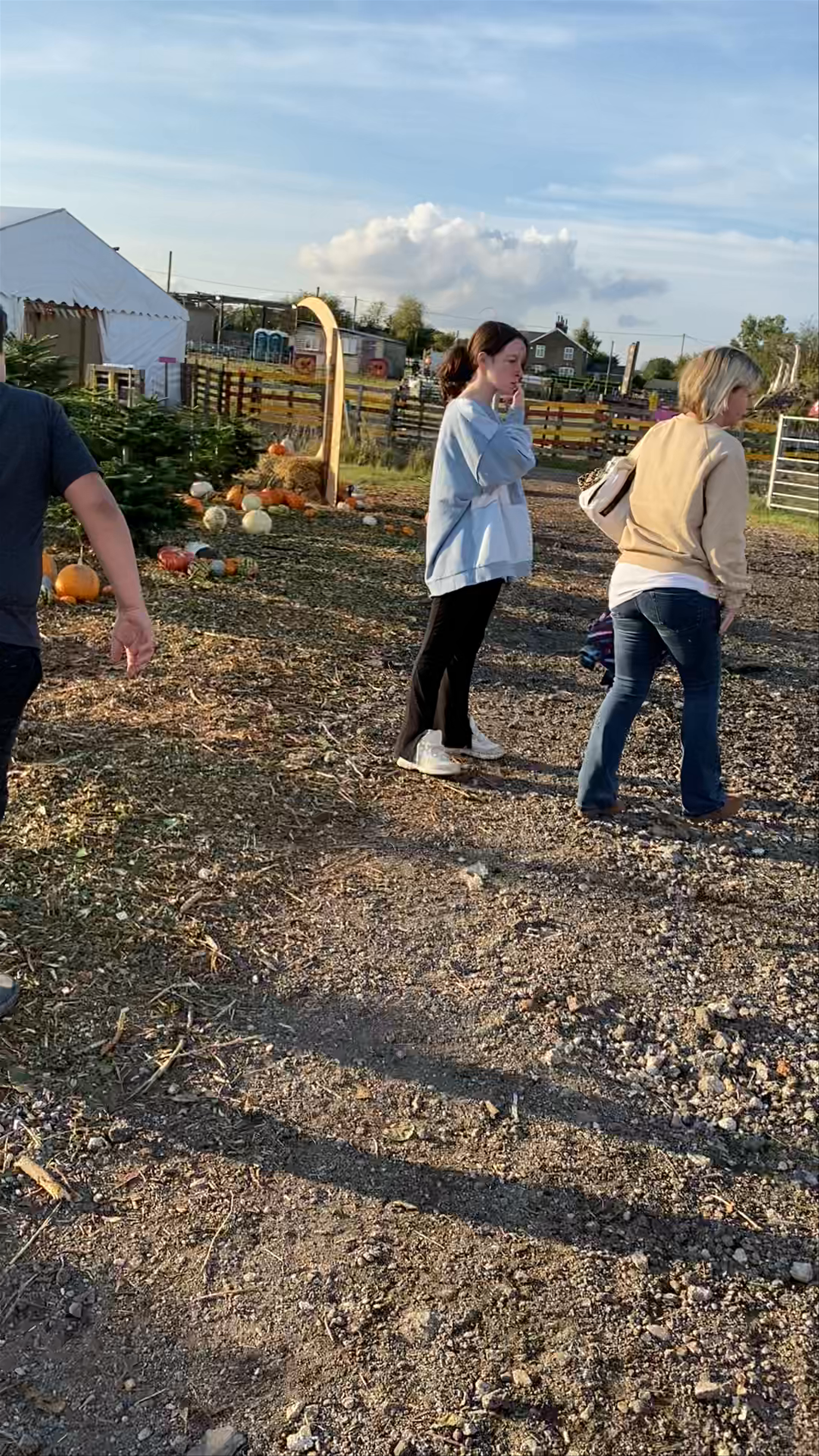 Hurleys Christmas Tree Farm: Festive Autumn Adventure in Wickford