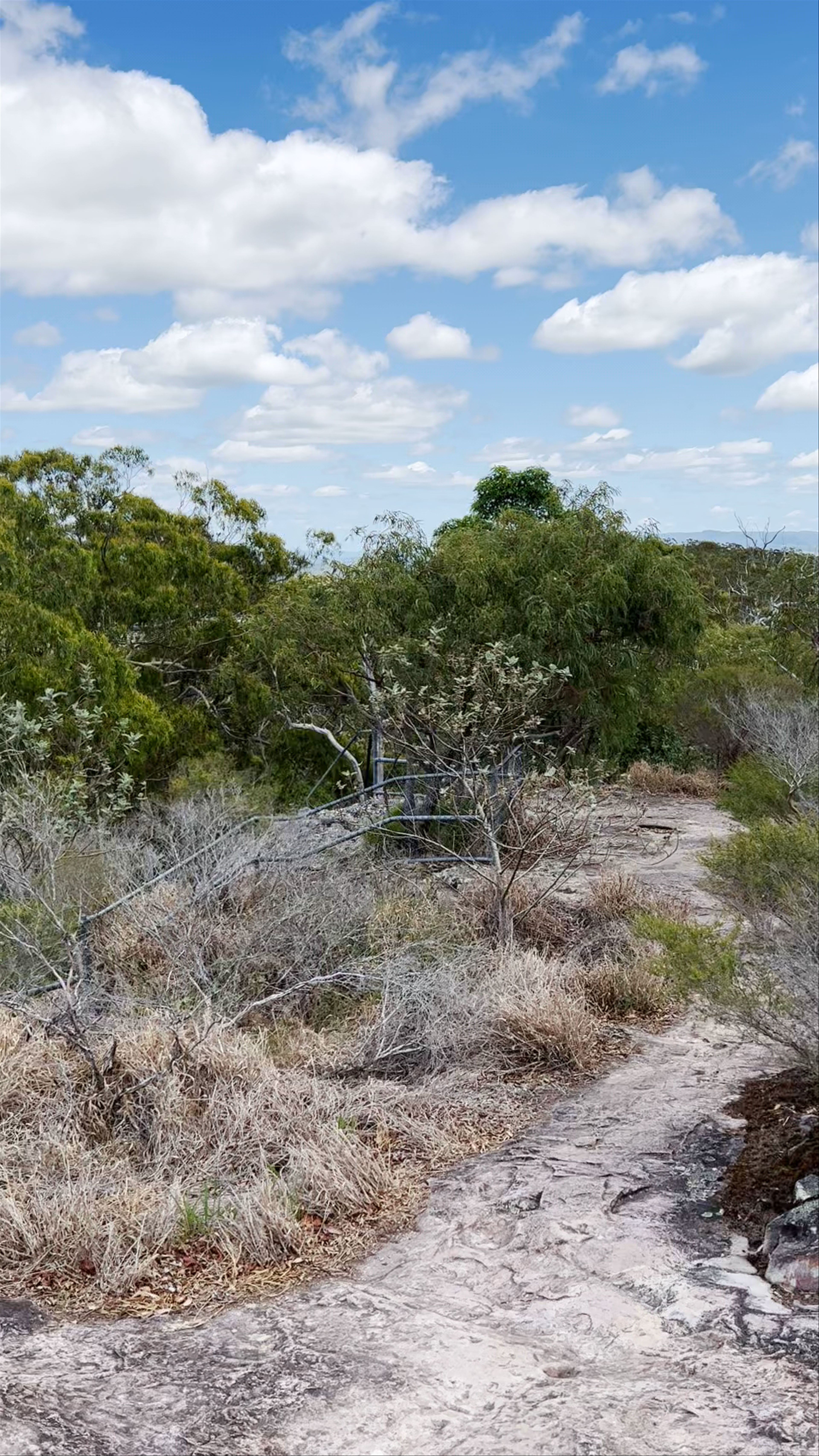 Mount Tinbeerwah Lookout