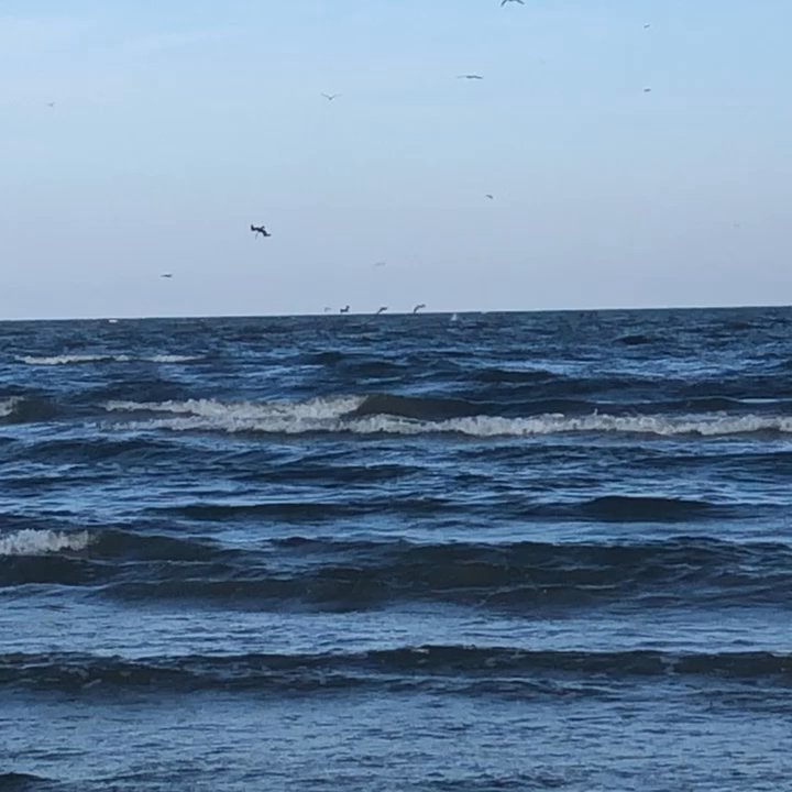 Sunny Beach - 6/14/20. Sunday evening. Just got to town from Shreveport, Louisiana and went straight to the beach!! Not far from The Palms at Cove View! - Beaches Near Me - Galveston, Texas