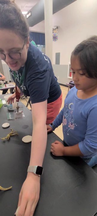 Duluth Childrens Museum - How to make fossils - Children's Museums Near Me - Duluth, Minnesota