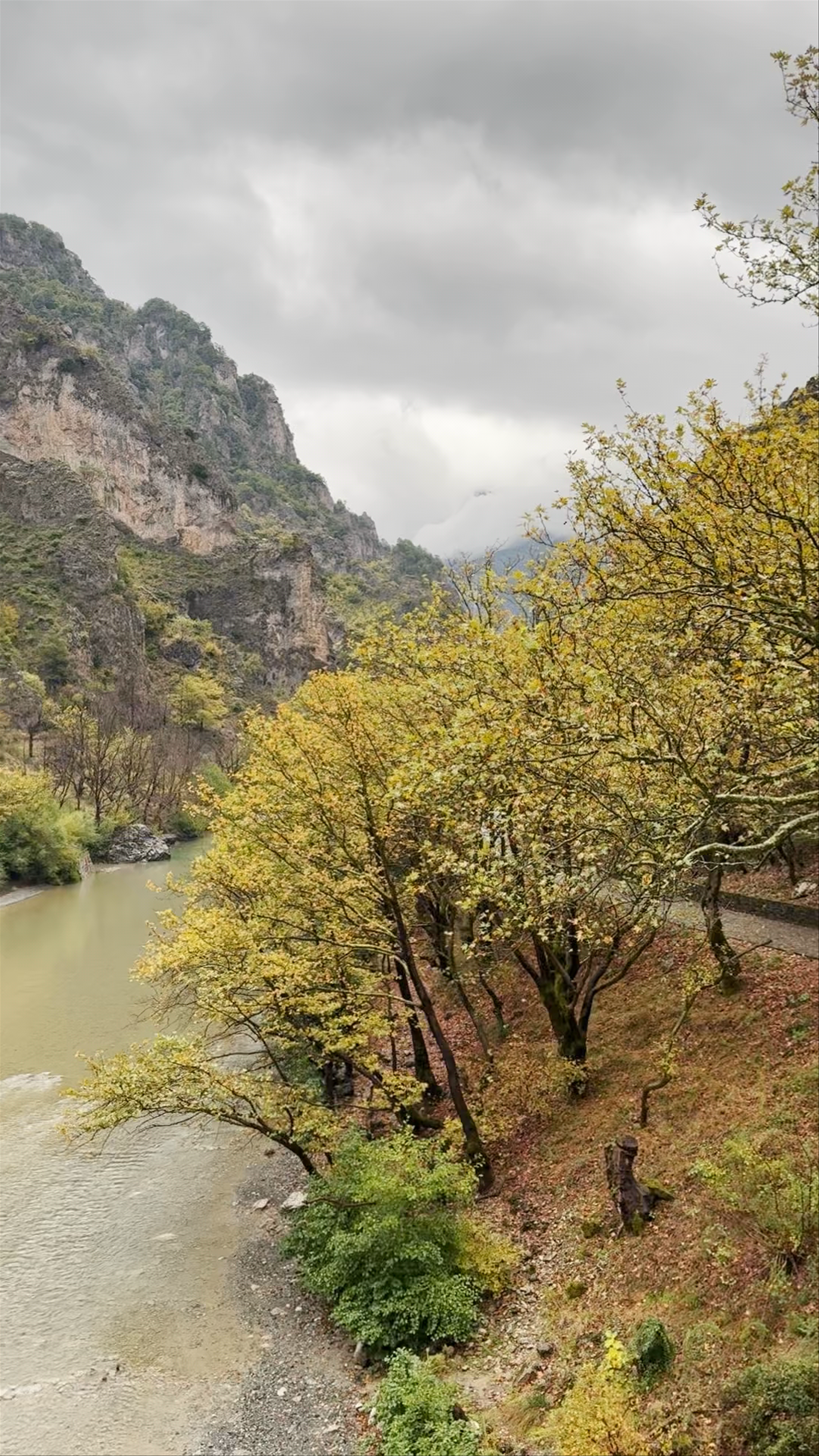 Γεφύρι Κόνιτσας