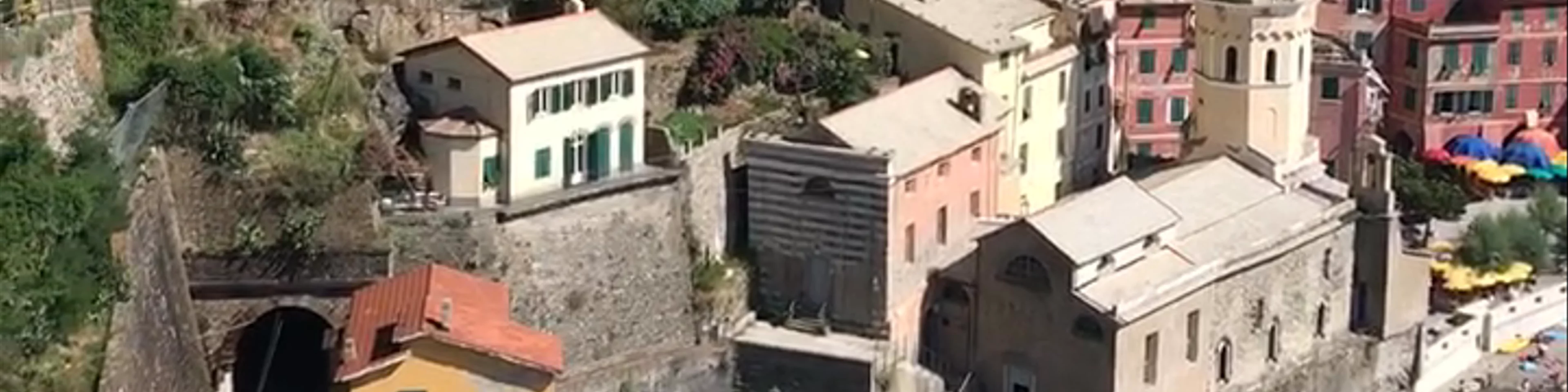 Vernazza Harbour Viewpoint