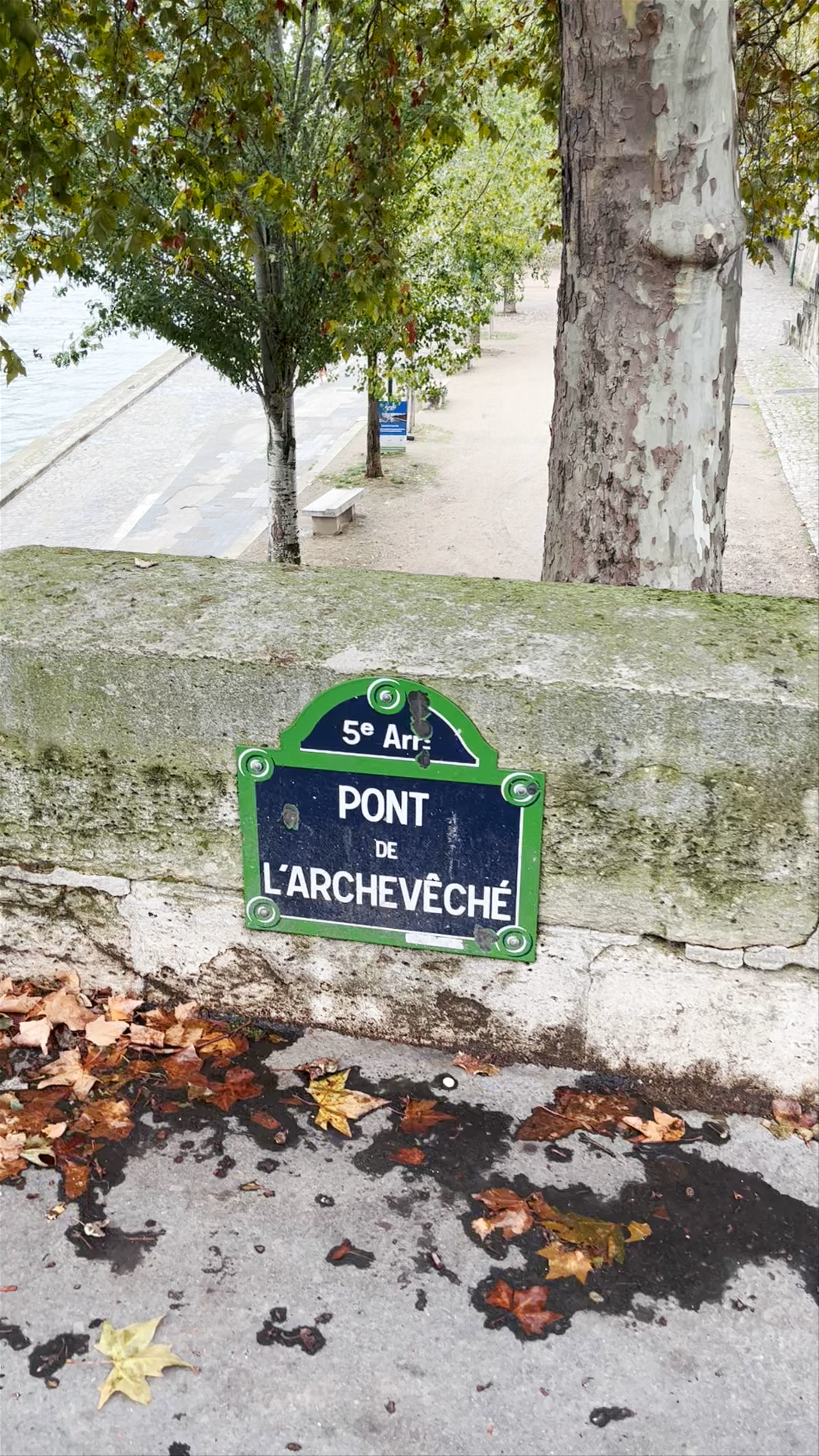 Autumn Serenity at Pont de l'Archevêché, Paris