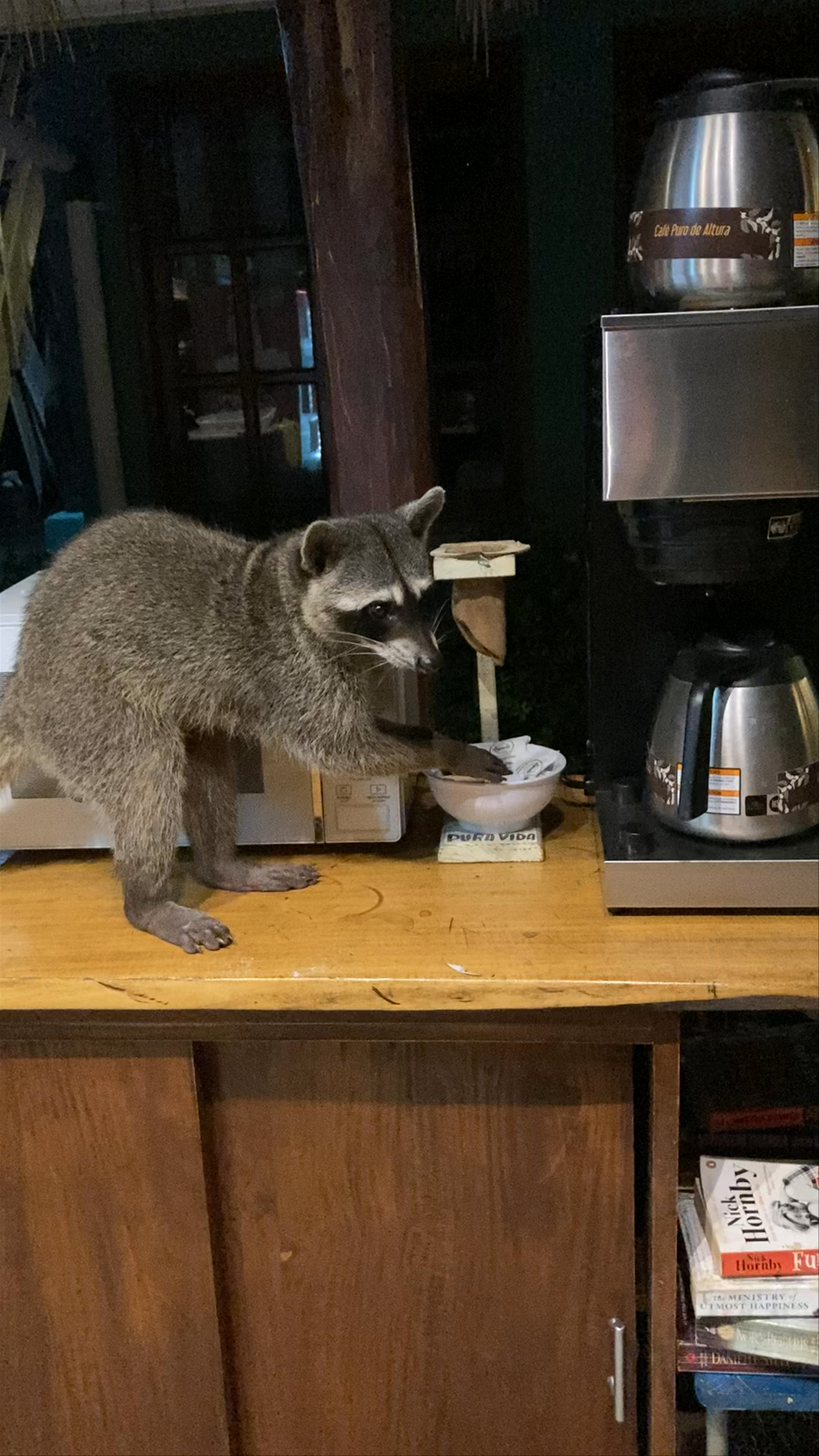 Playa Grande Surf Camp