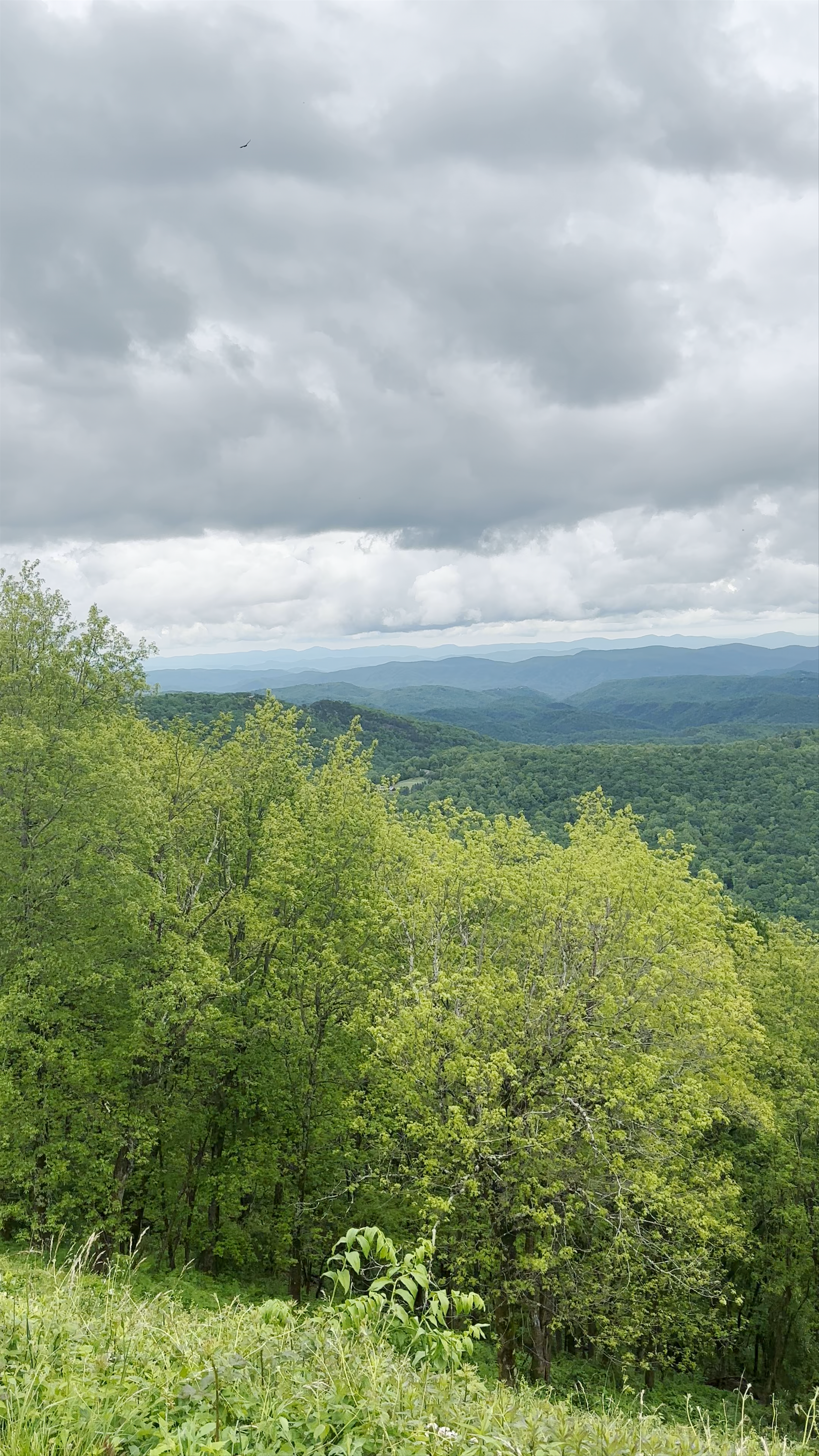Thunder Hill Overlook